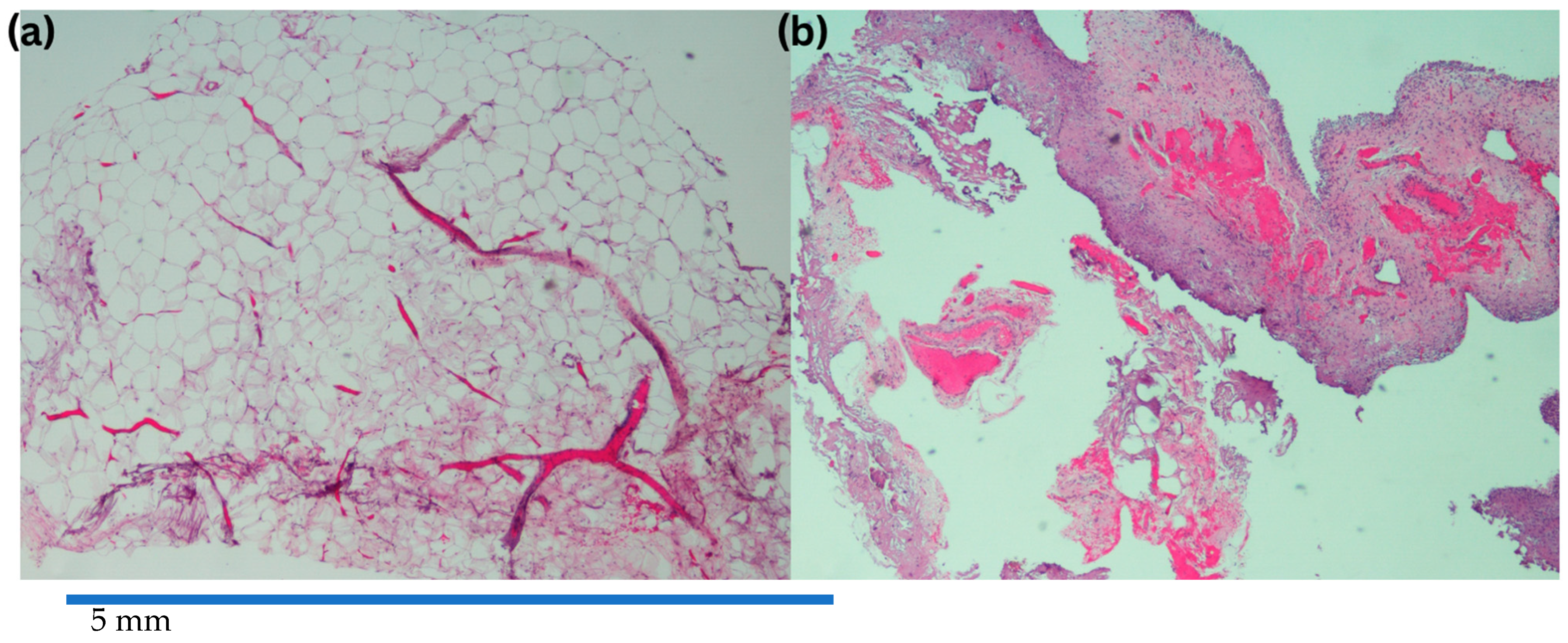 Uro 05 00015 g003 Uro 05 00015 g003