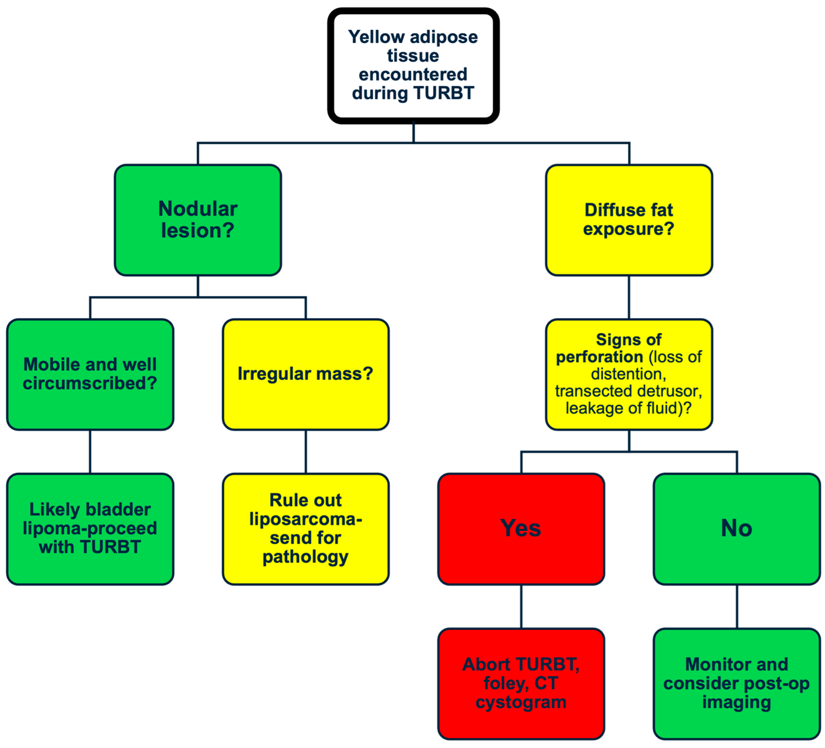 Uro 05 00015 g004 Uro 05 00015 g004