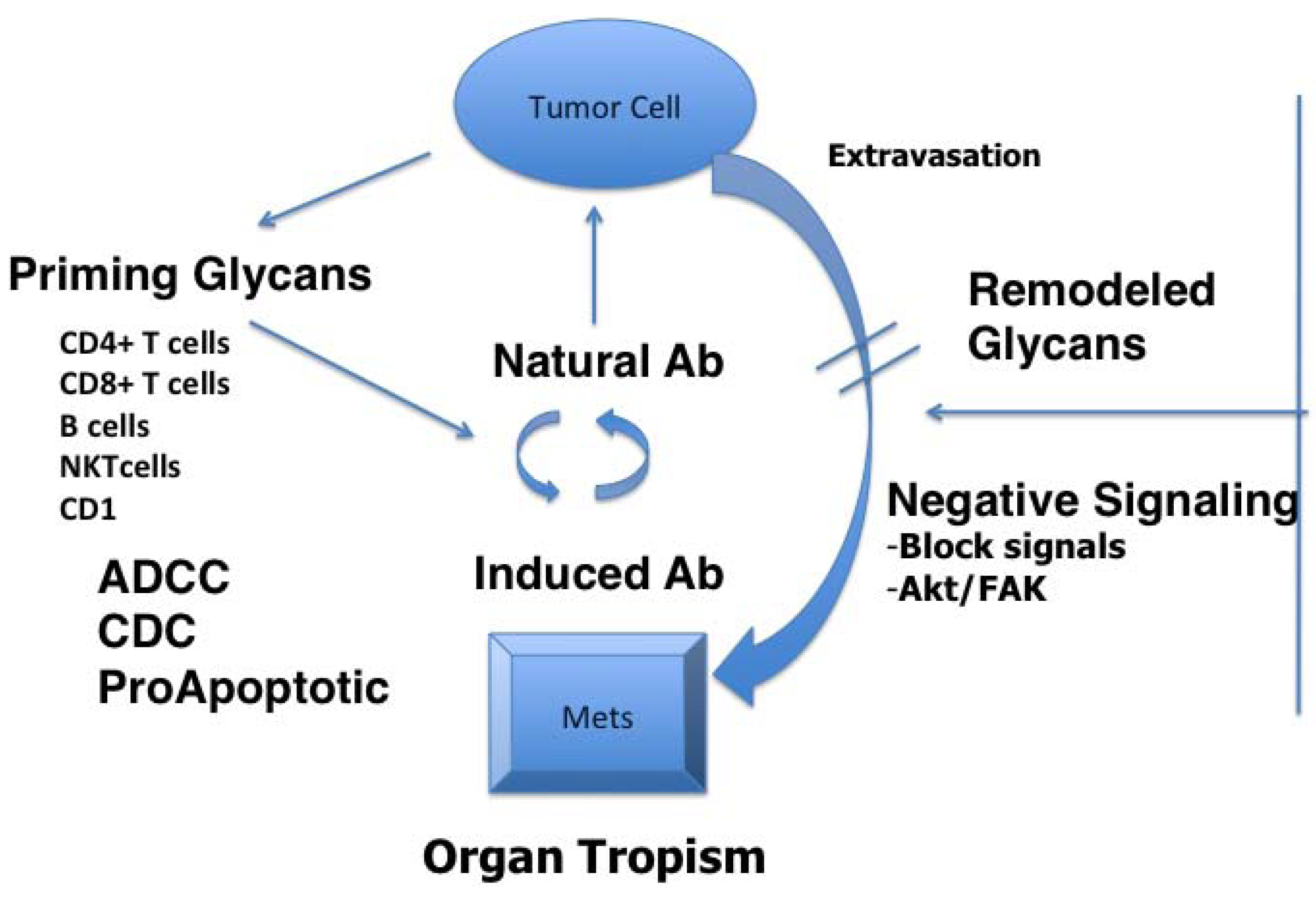 Vaccines 01 00174 g001