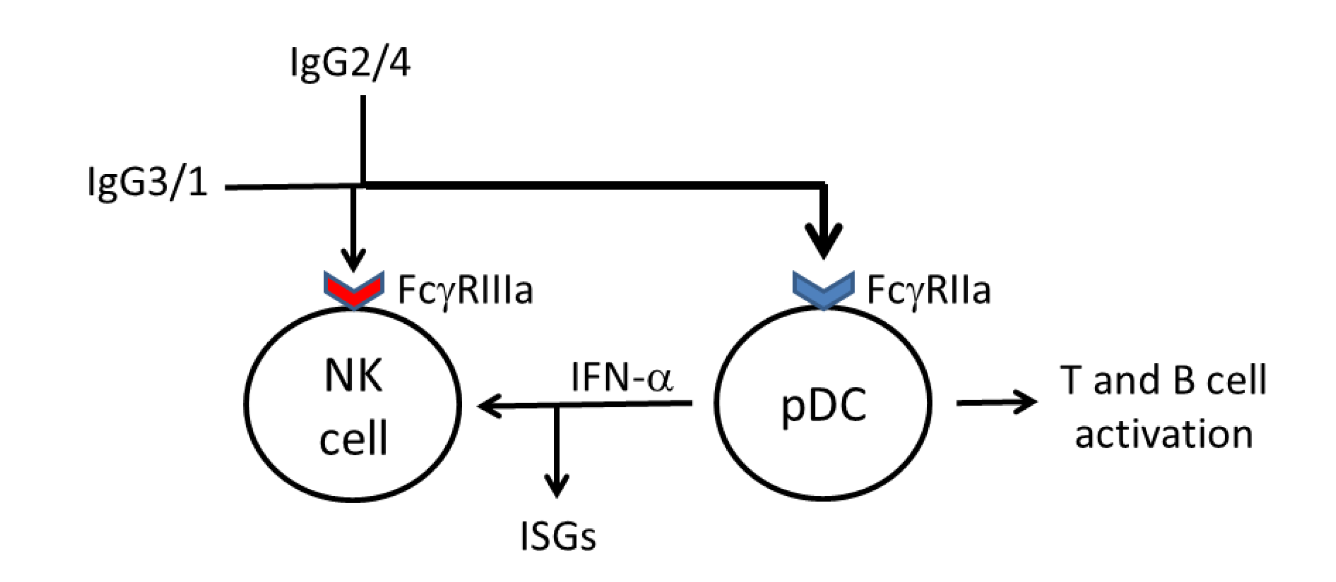 Vaccines 01 00328 g002 1024