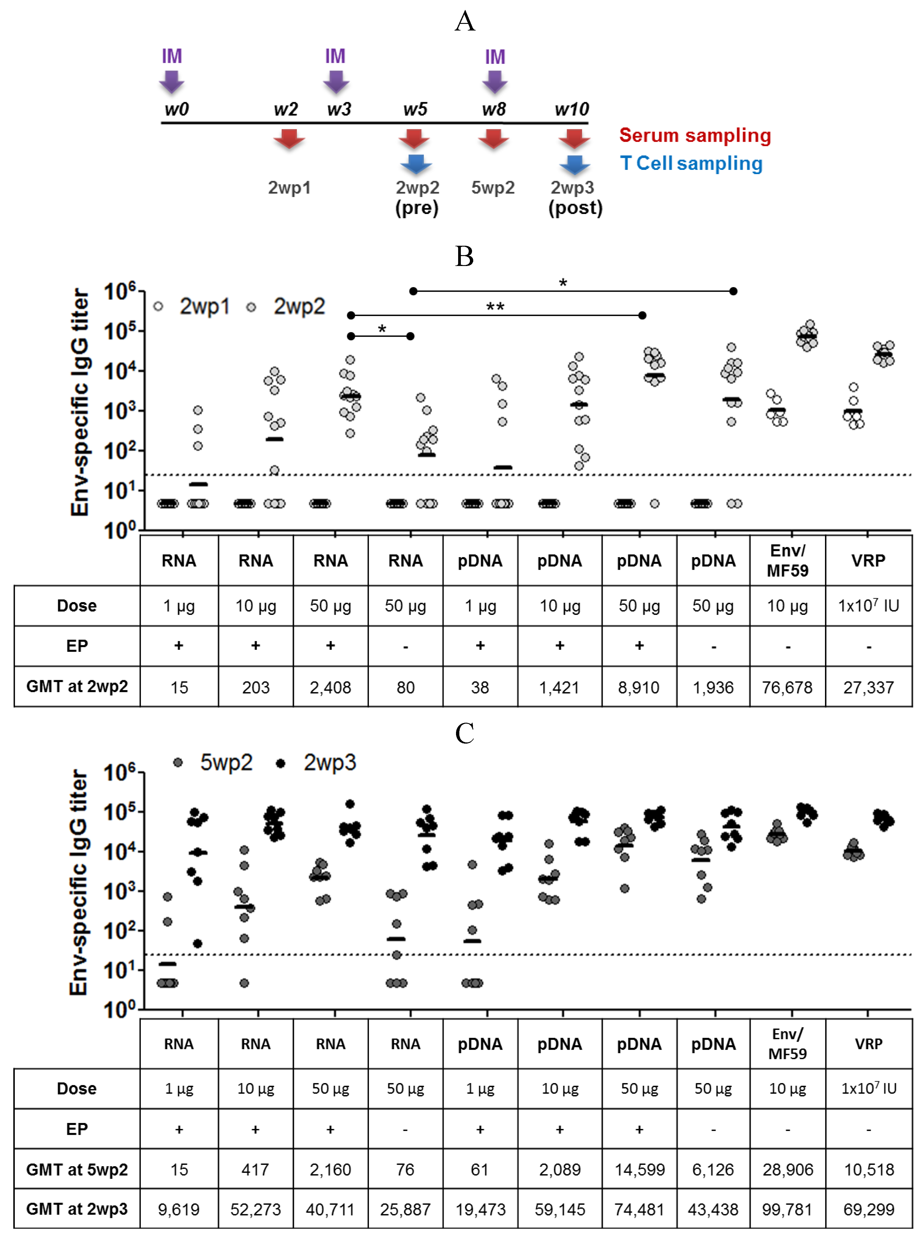 Vaccines 01 00367 g003