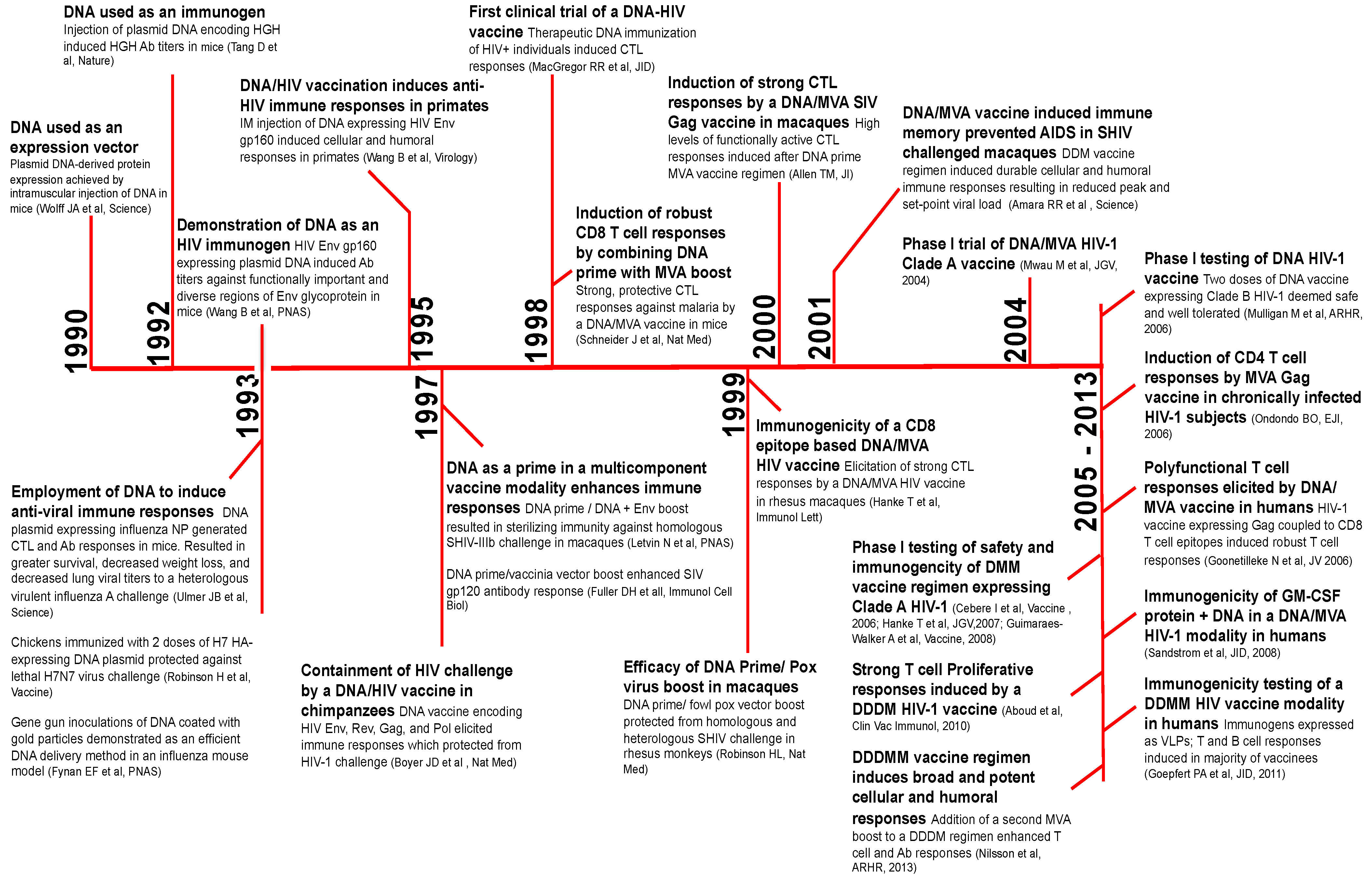 Dna discovery timeline essay