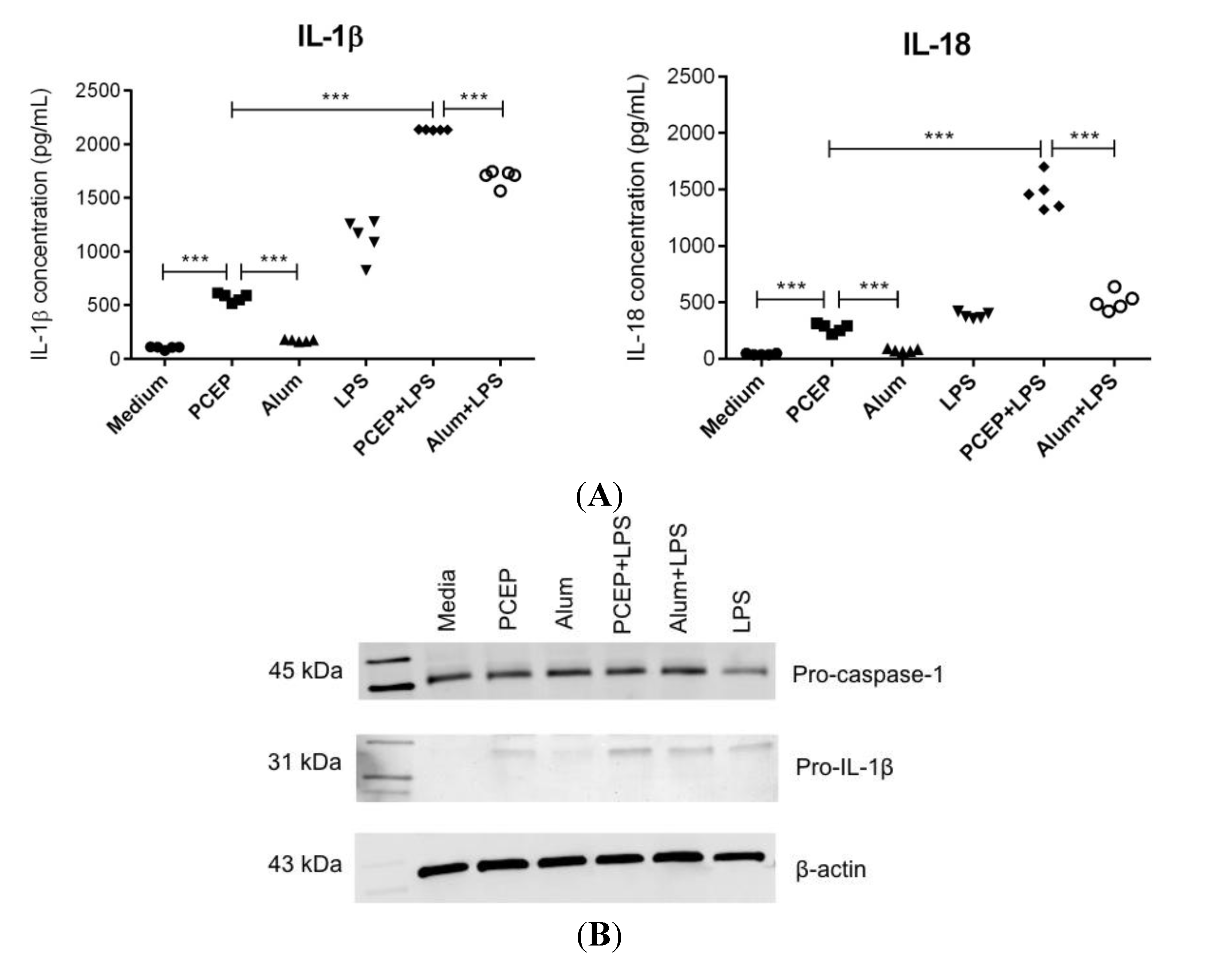 Vaccines 02 00500 g001