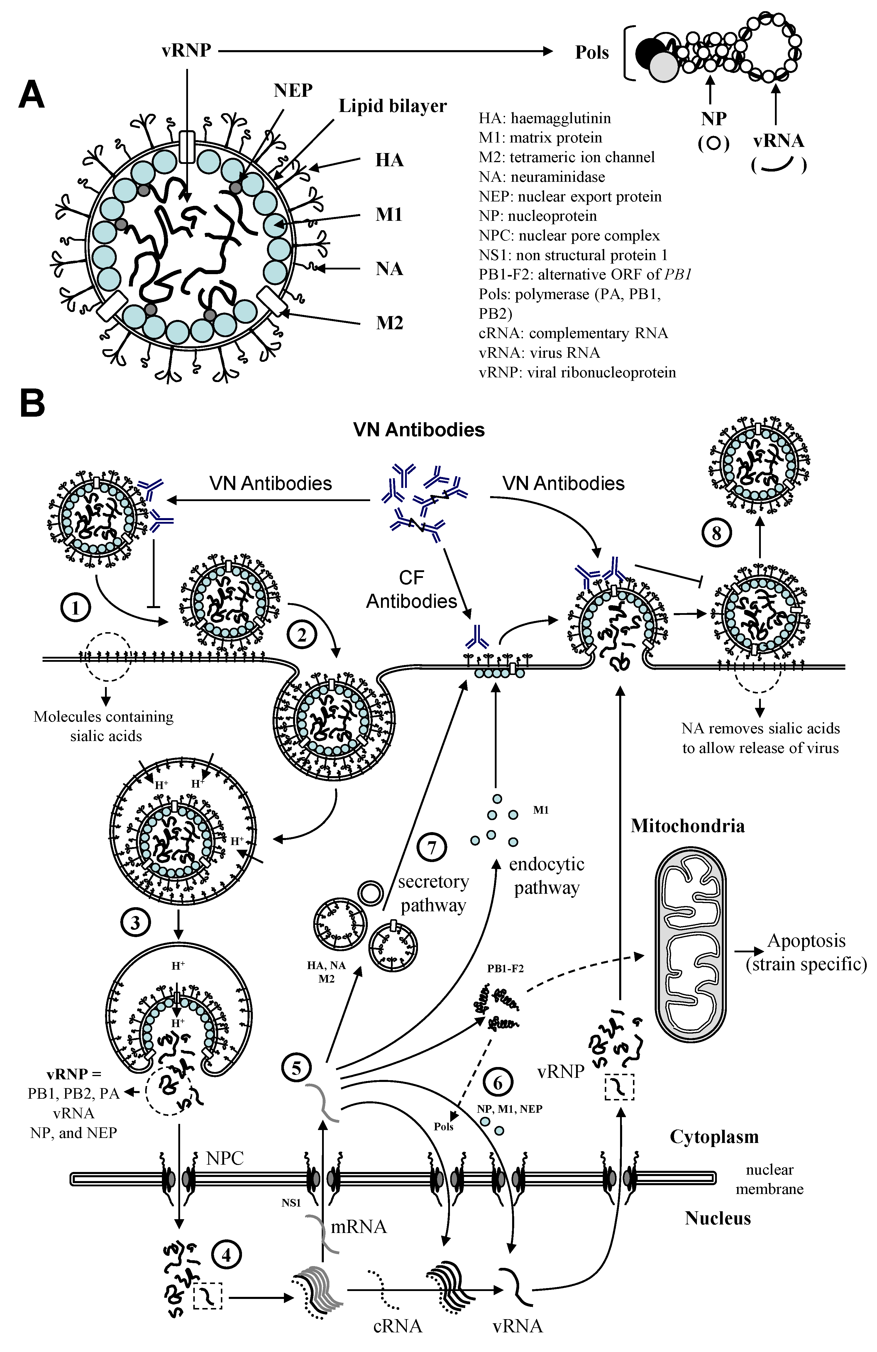 Vaccines 02 00797 g002