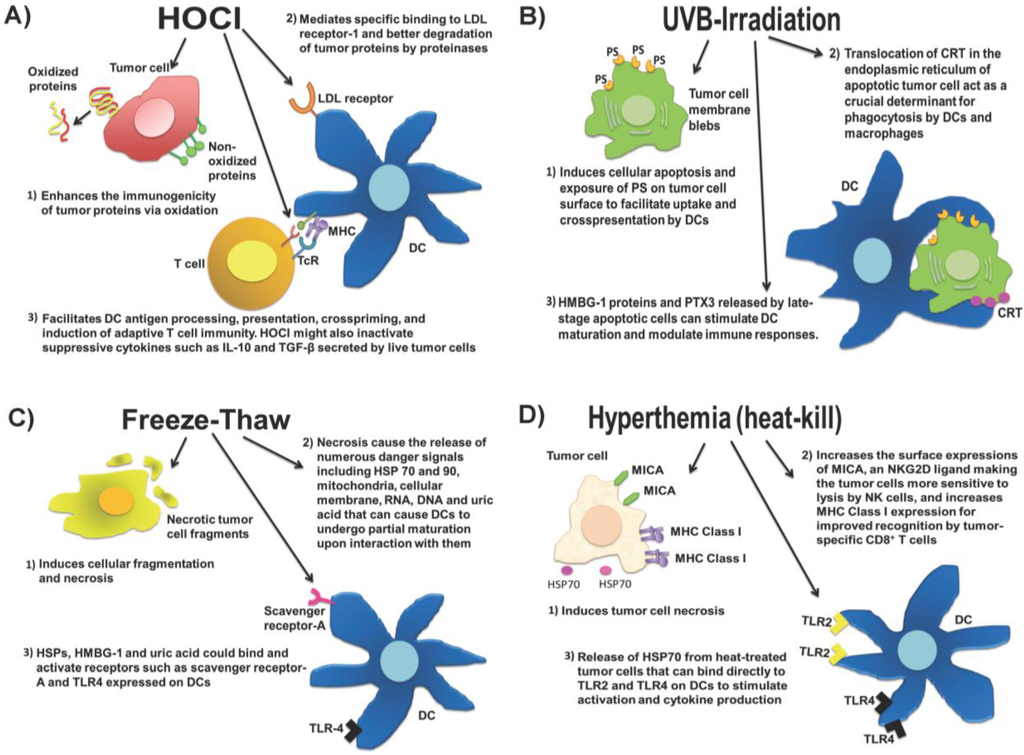 Vaccines, Free Full-Text