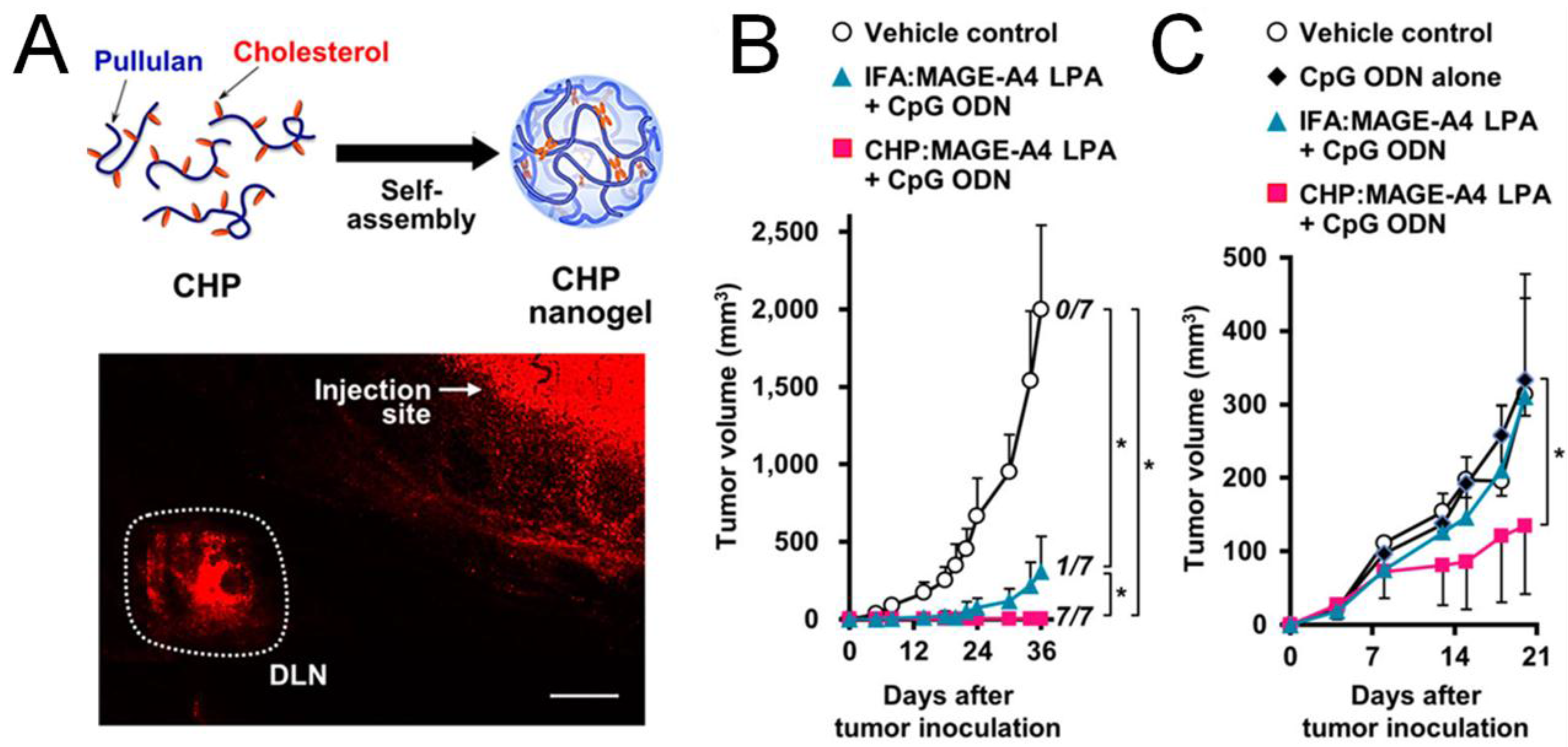 Vaccines 03 00662 g002
