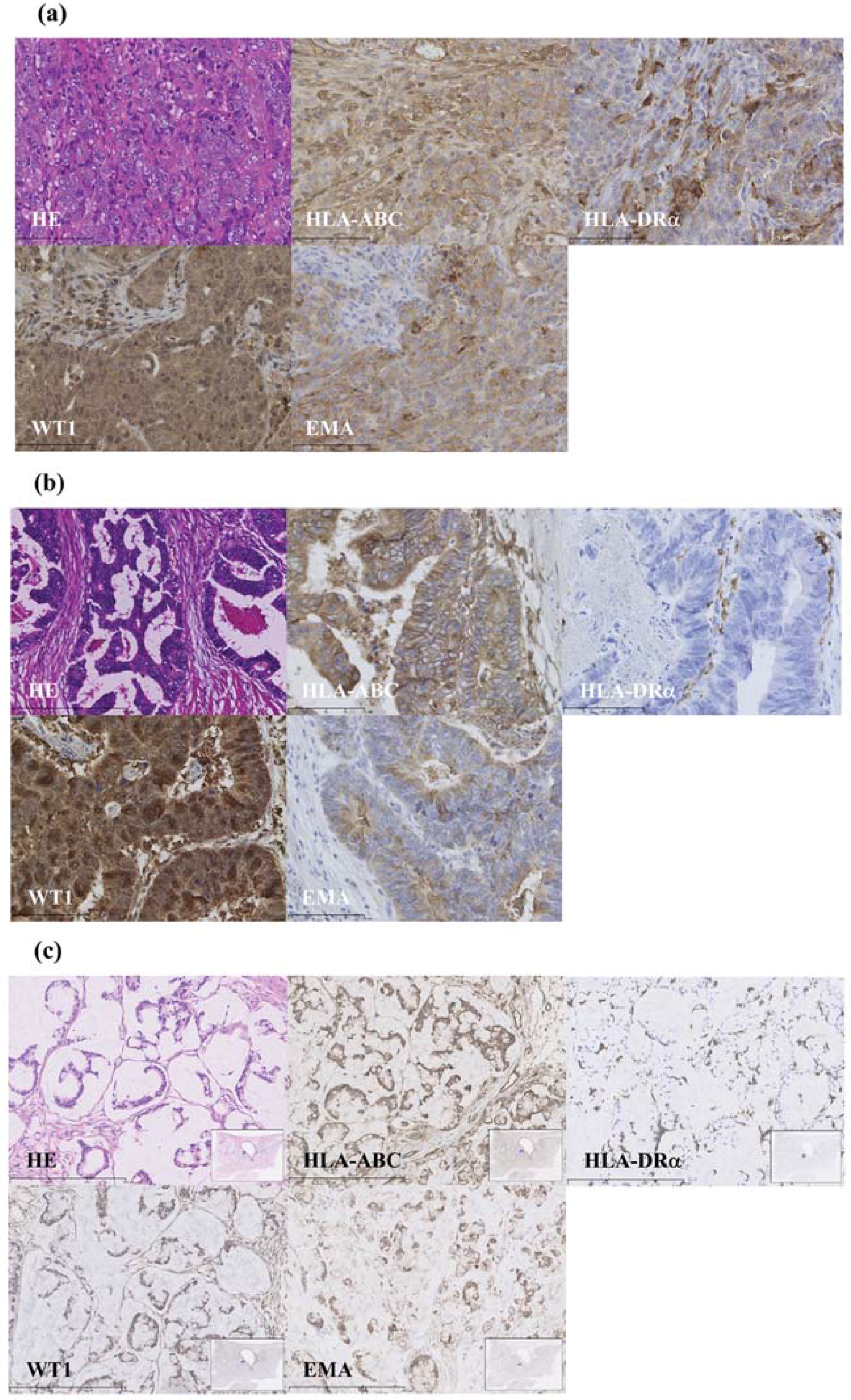 Vaccines 03 01004 g001