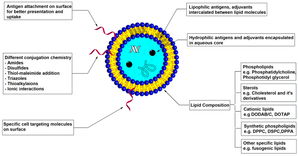 Vaccines Free FullText Recent Advances in Subunit Vaccine Carriers