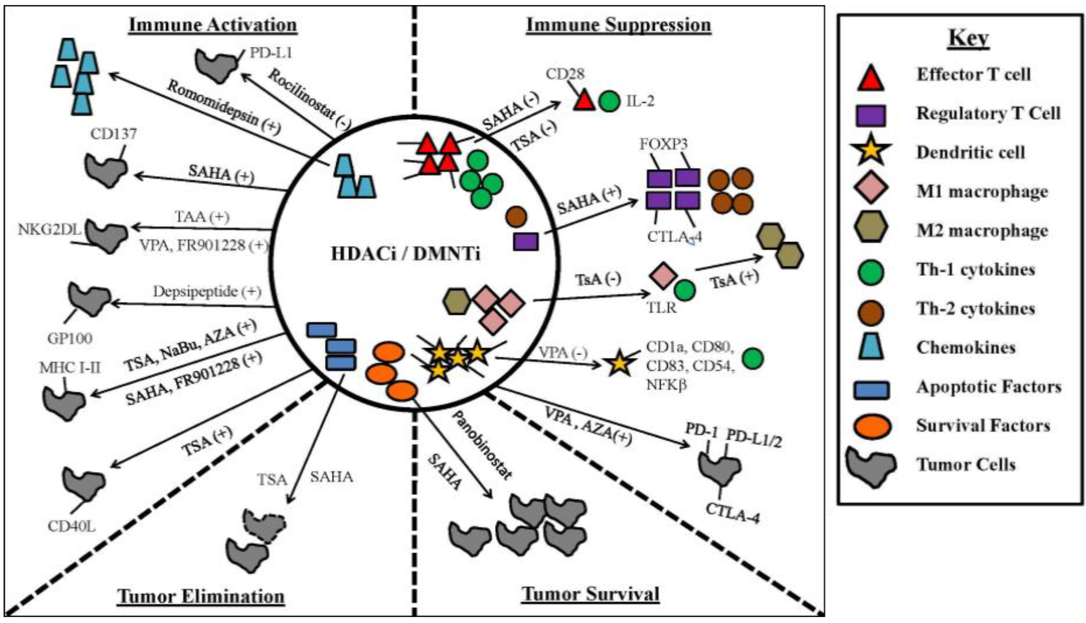 Vaccines 04 00043 g003