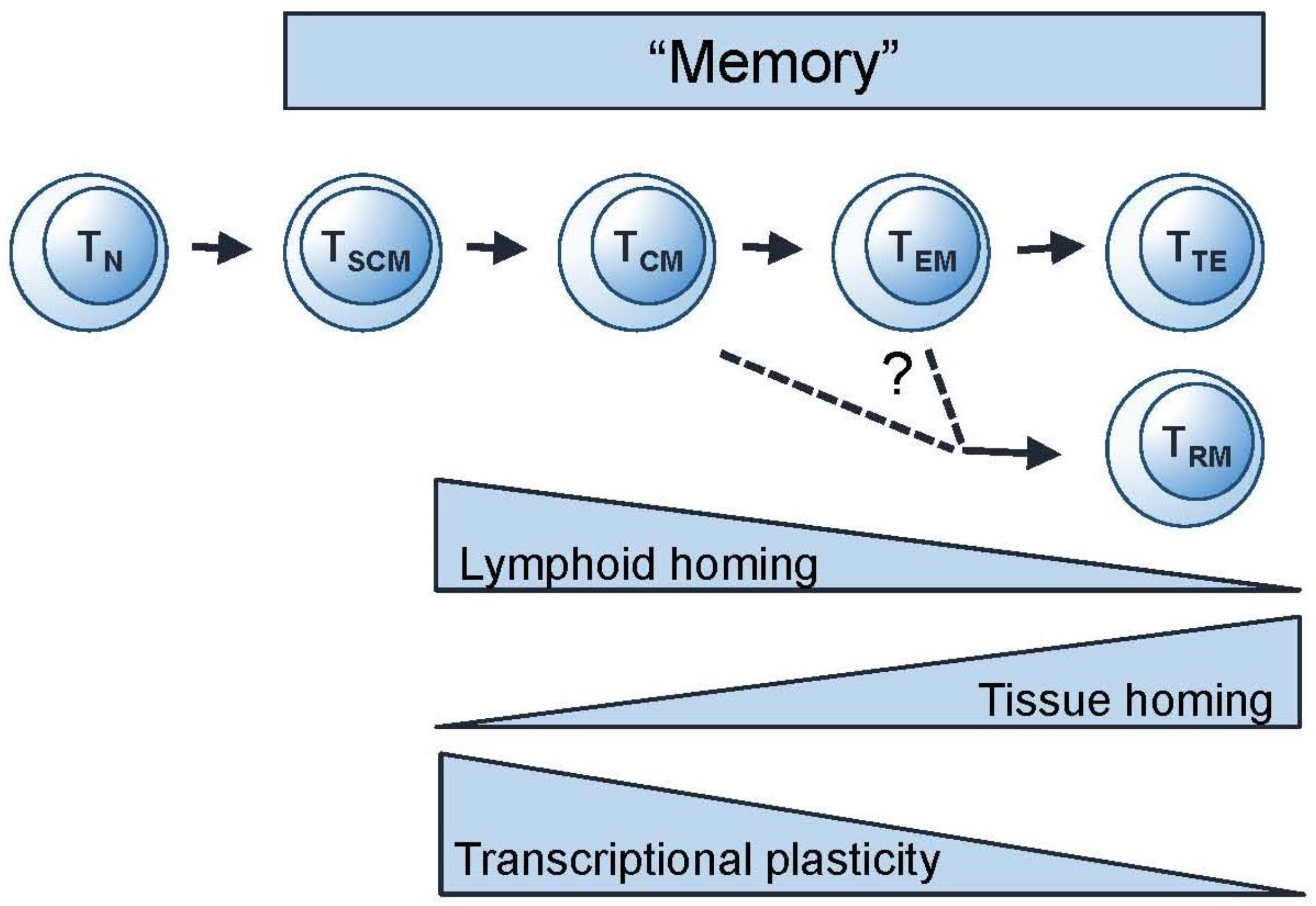 Vaccines 05 00005 g002