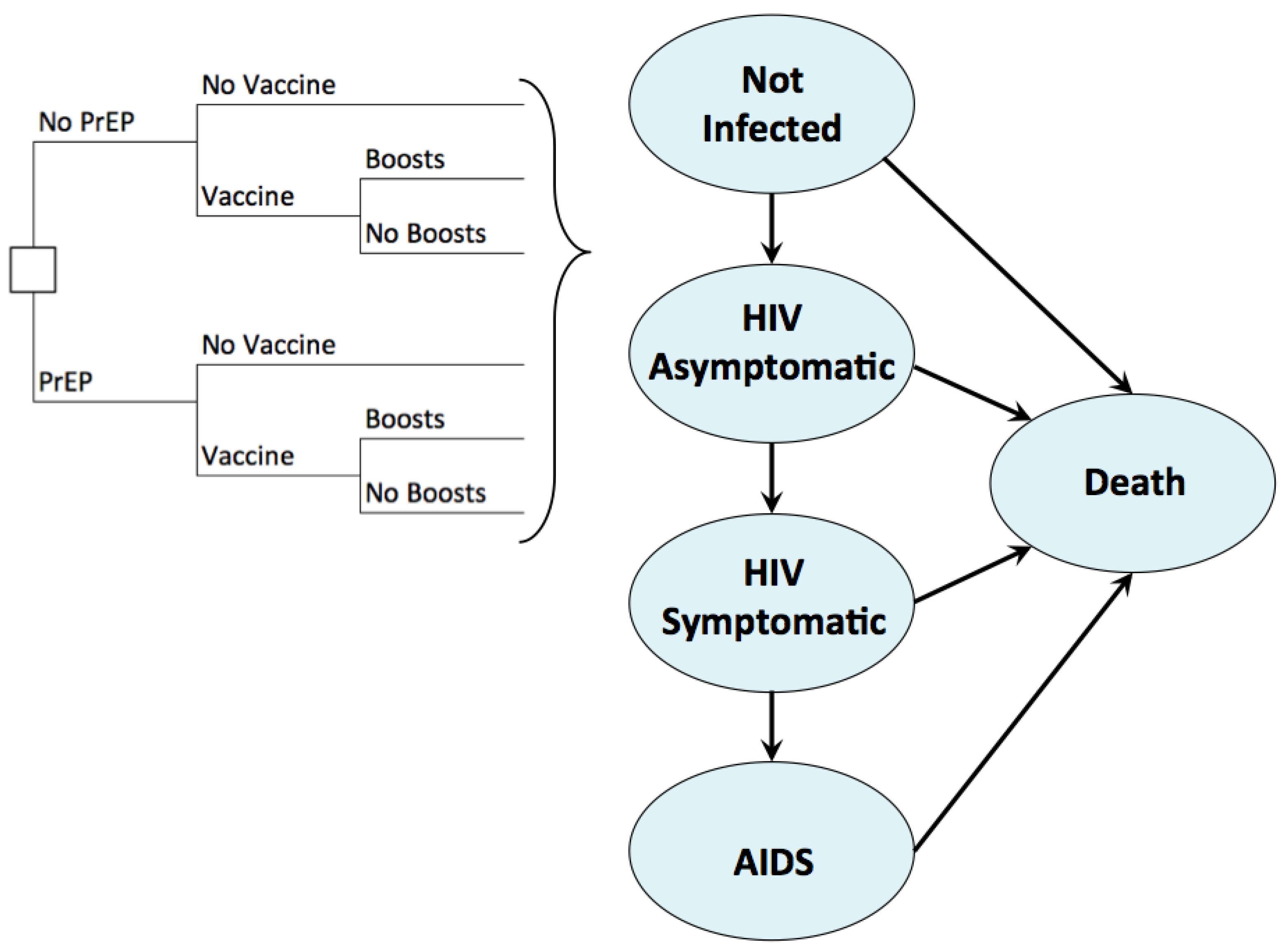 Vaccines 05 00013 g001
