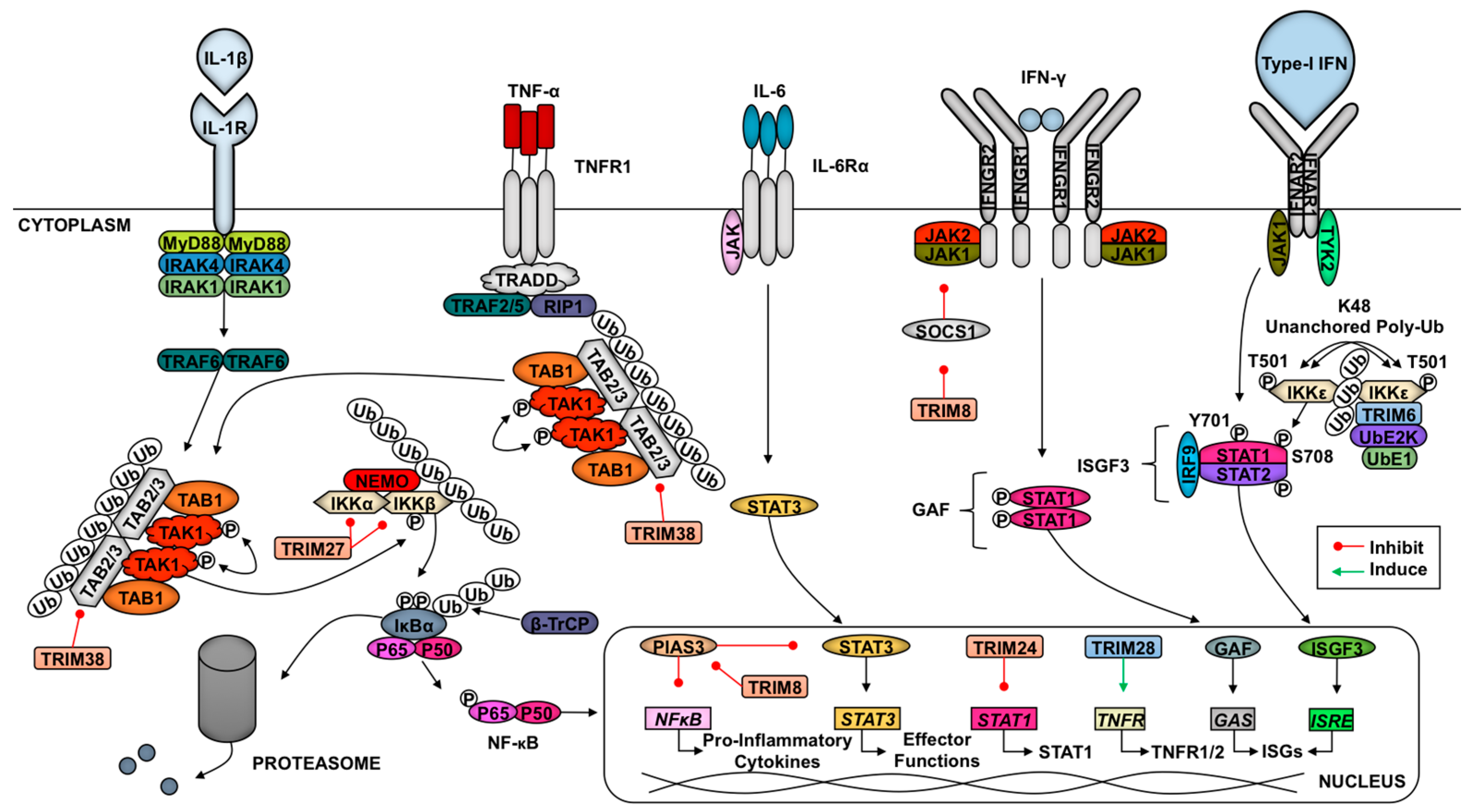 Vaccines 05 00023 g002