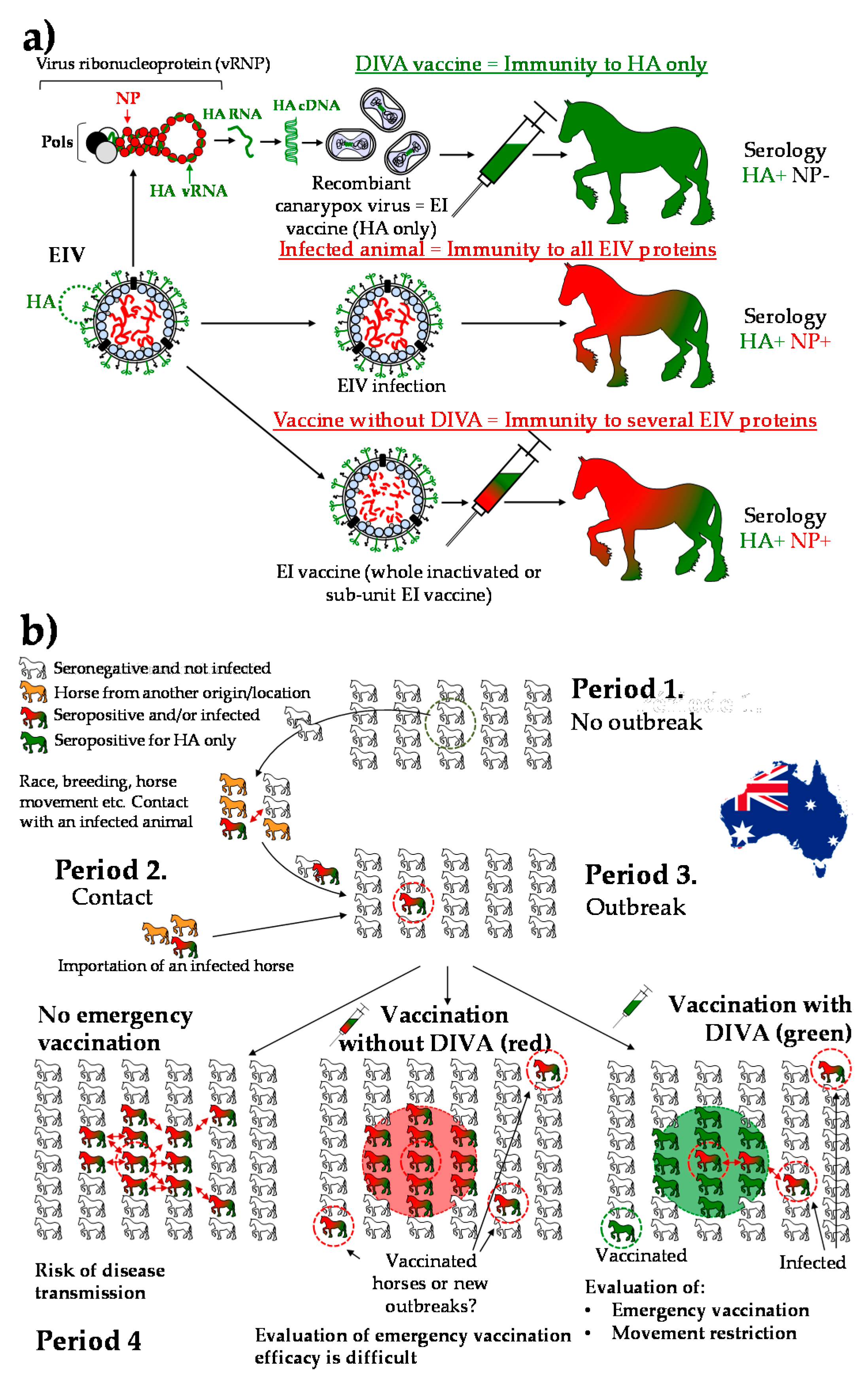 Vaccines Free FullText Equine Vaccines How, When and Why? Report