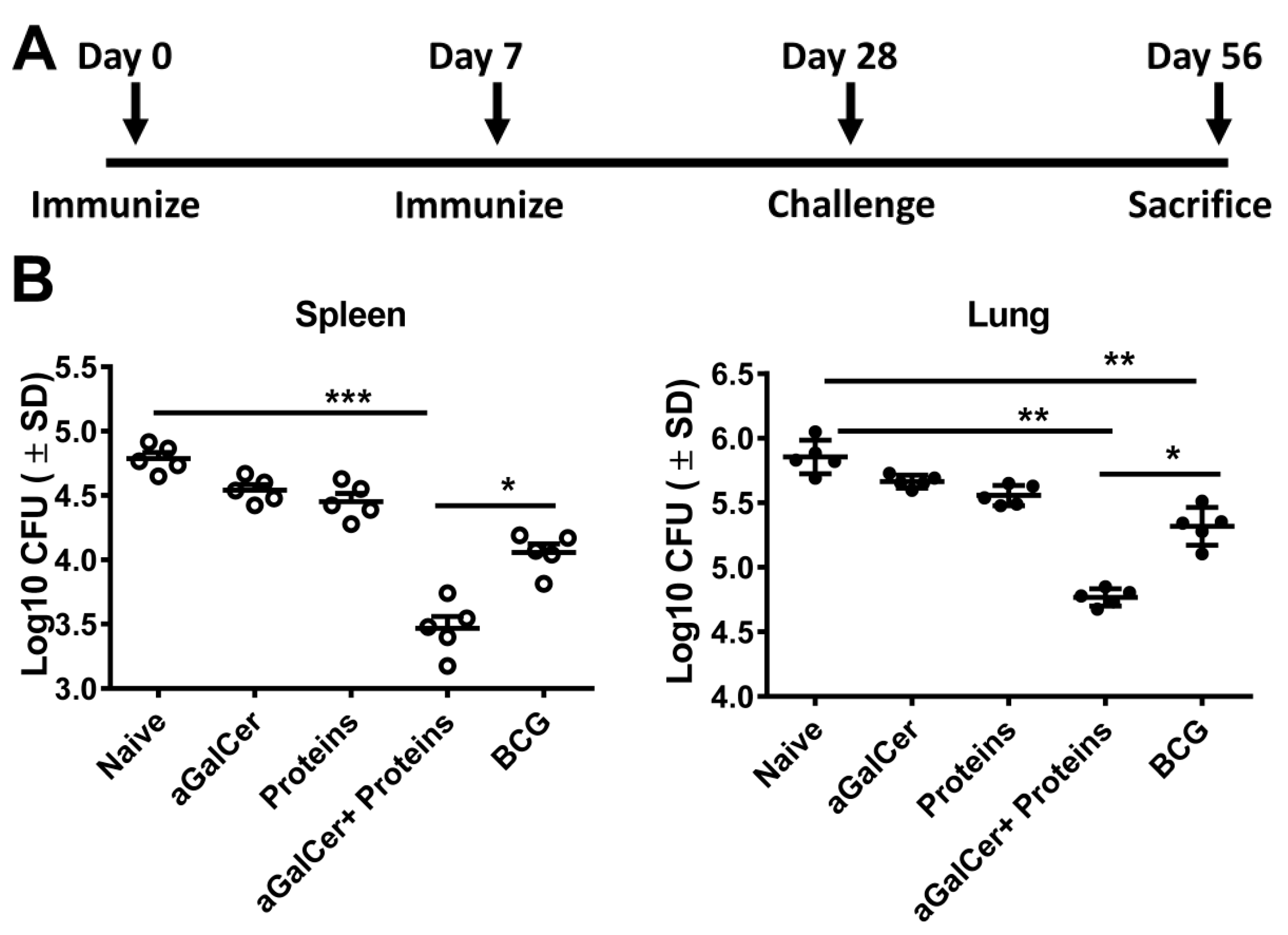 Vaccines 05 00047 g004
