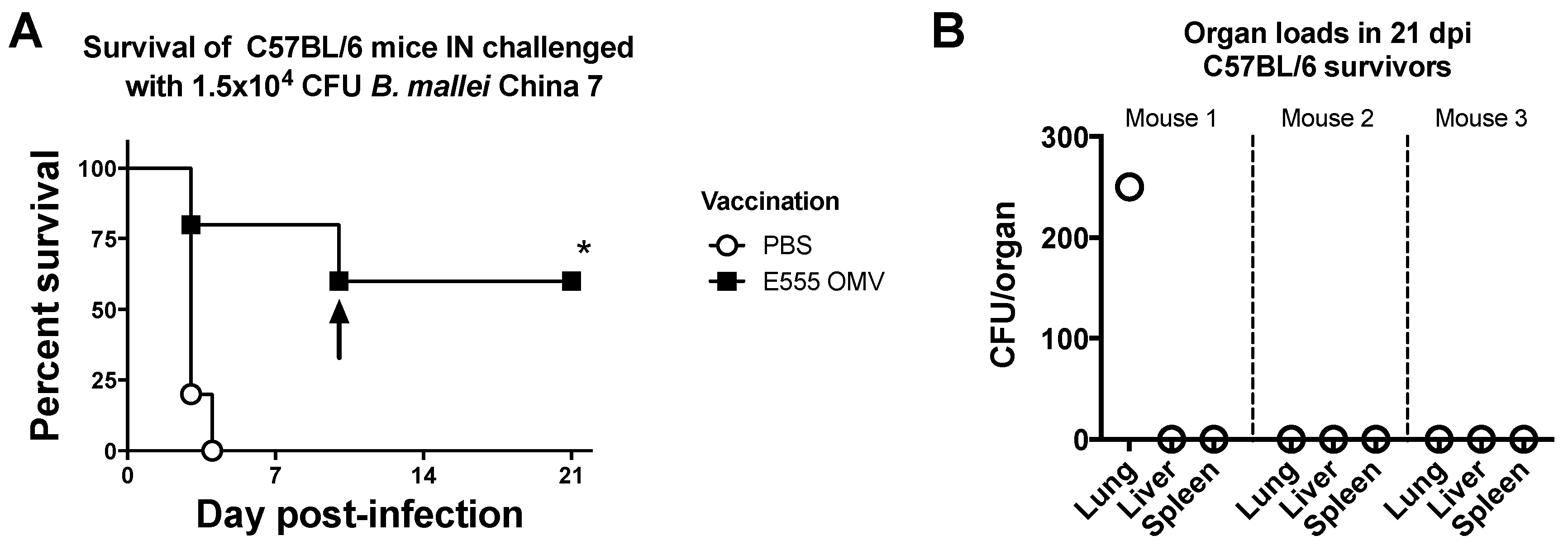 Vaccines 06 00005 g008 Vaccines 06 00005 g008