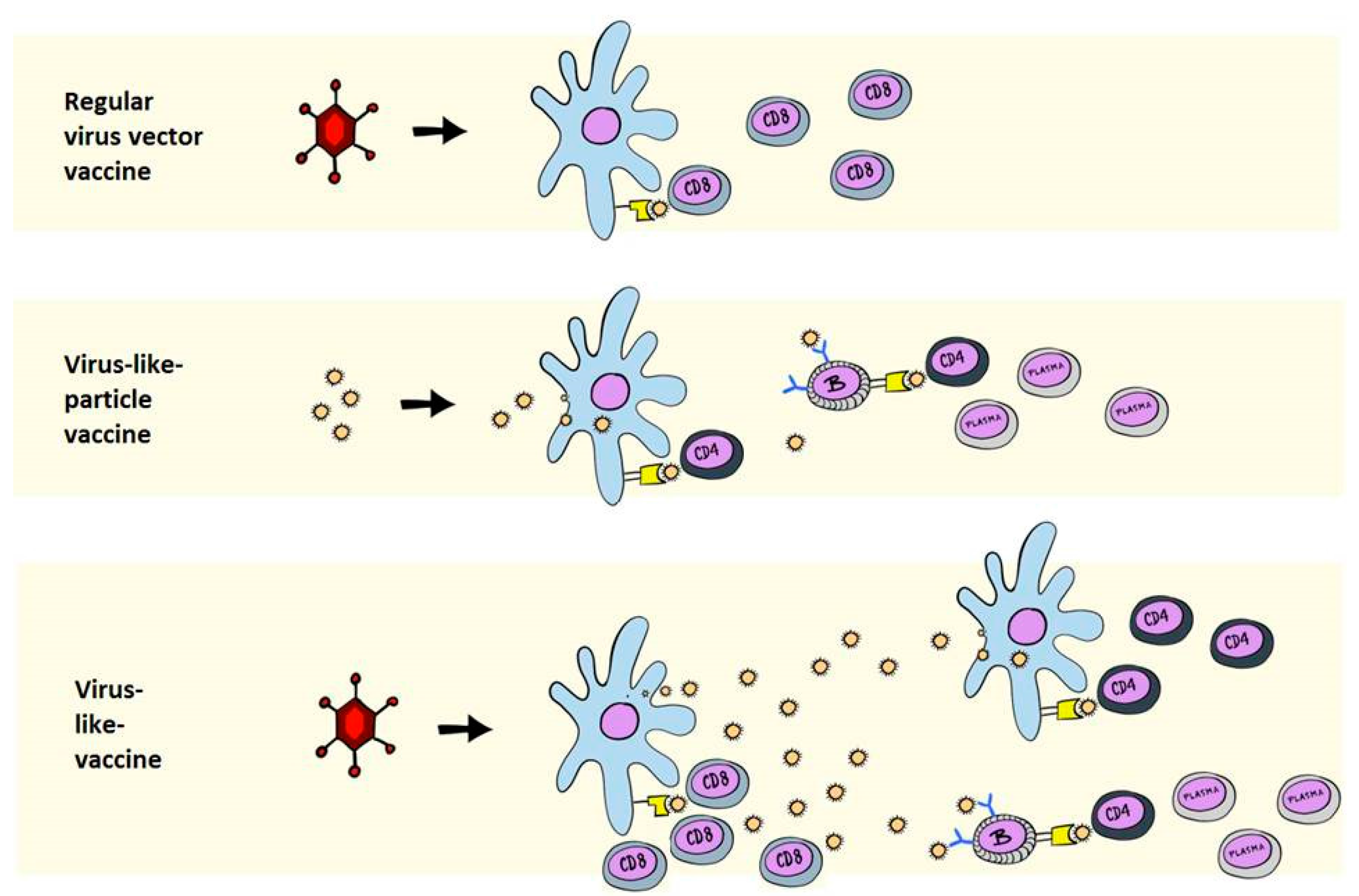 Vaccines 06 00010 g001 Vaccines 06 00010 g001
