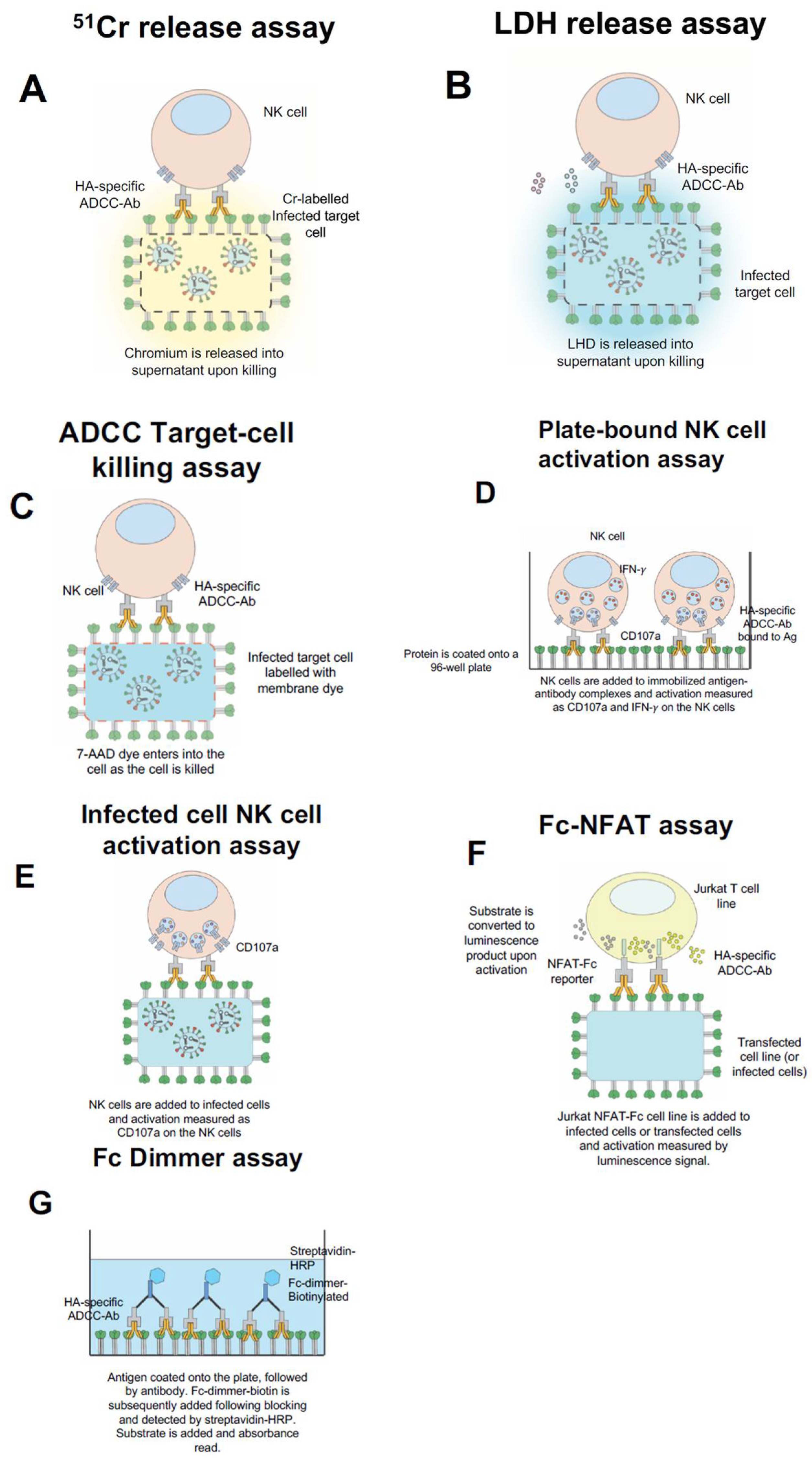 Vaccines 06 00027 g001 Vaccines 06 00027 g001