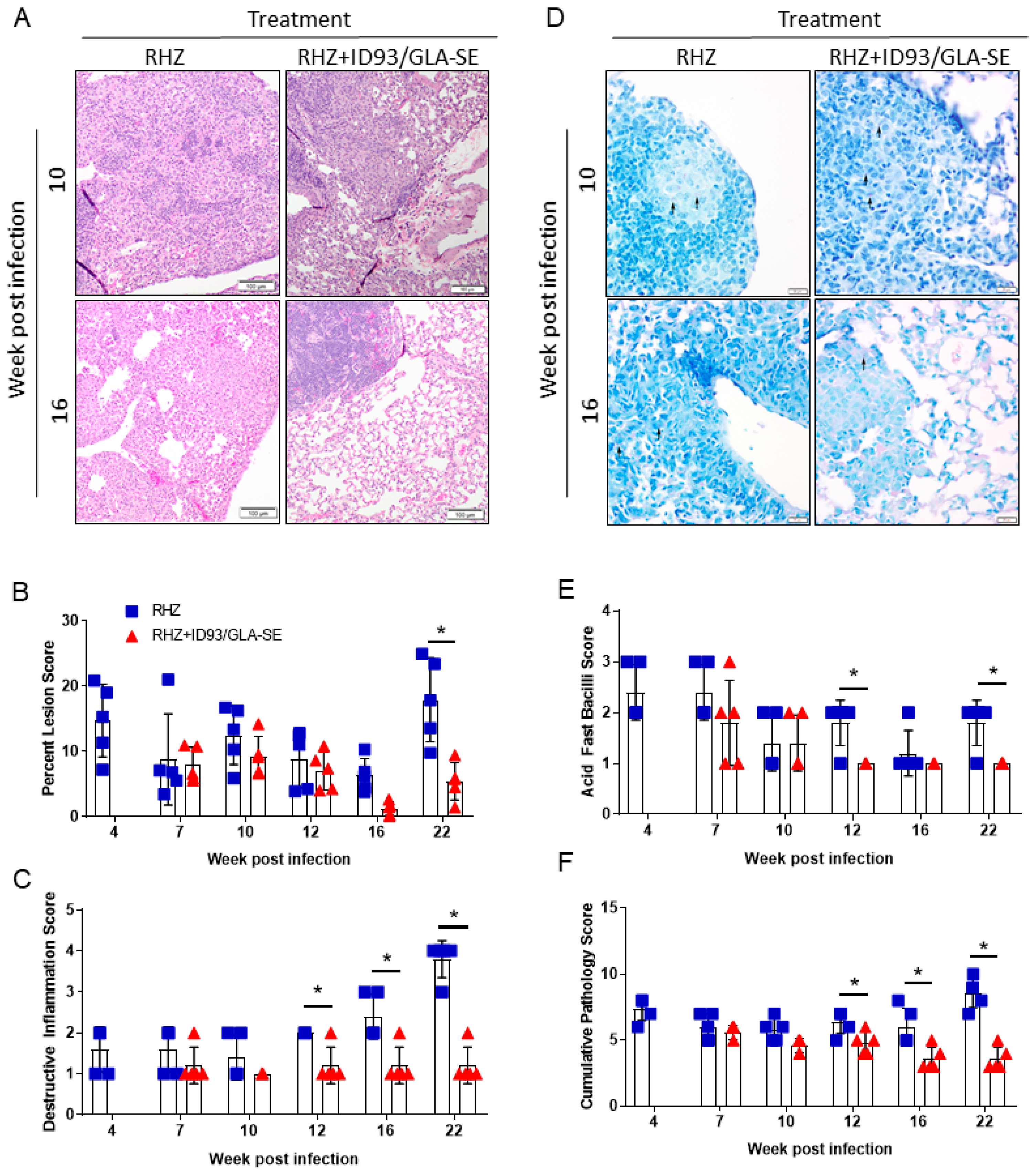 Vaccines 06 00030 g003 Vaccines 06 00030 g003