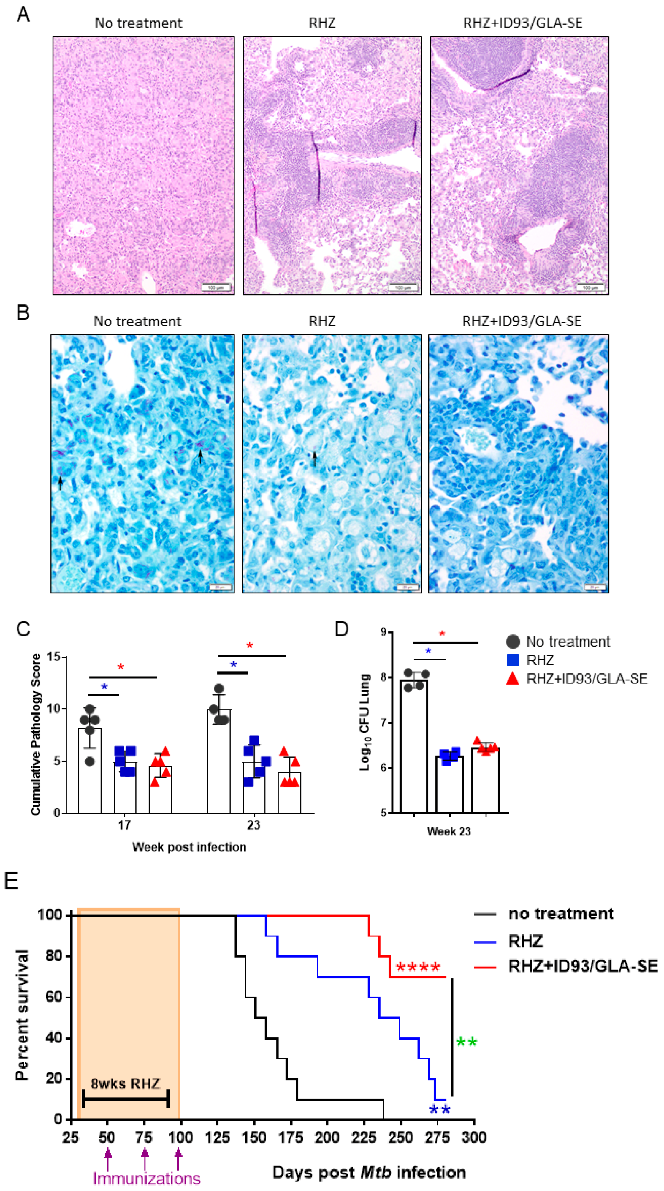 Vaccines 06 00030 g007 Vaccines 06 00030 g007