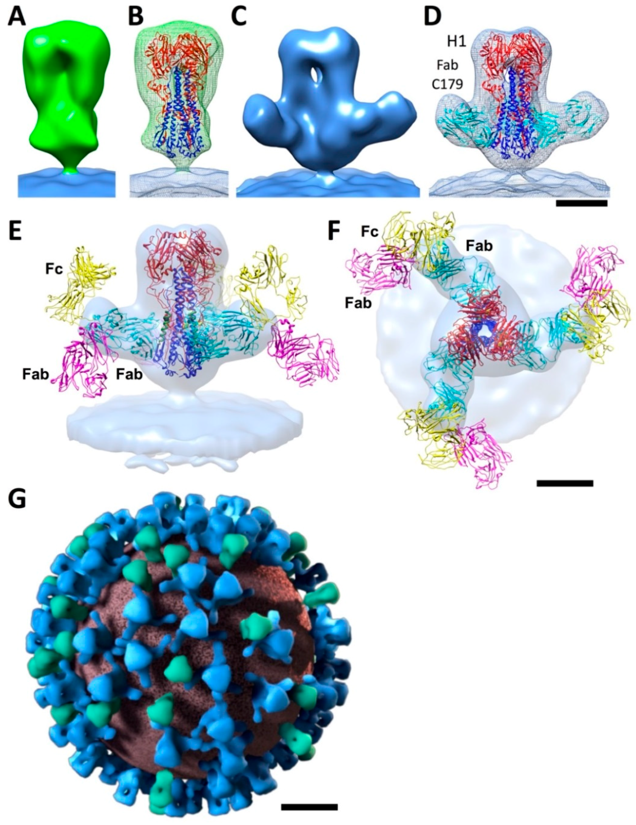 Vaccines 06 00031 g003 Vaccines 06 00031 g003