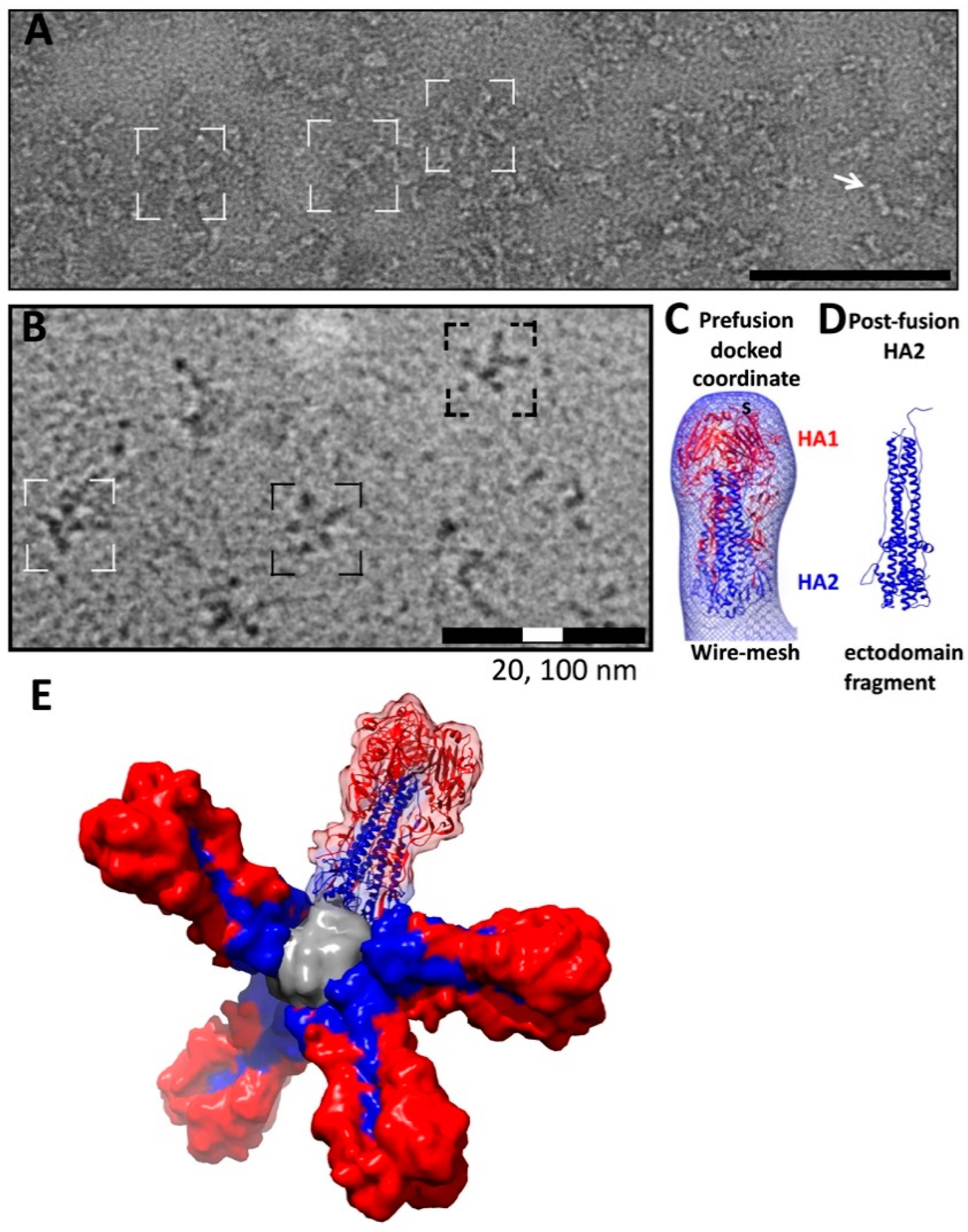 Vaccines 06 00031 g004 Vaccines 06 00031 g004
