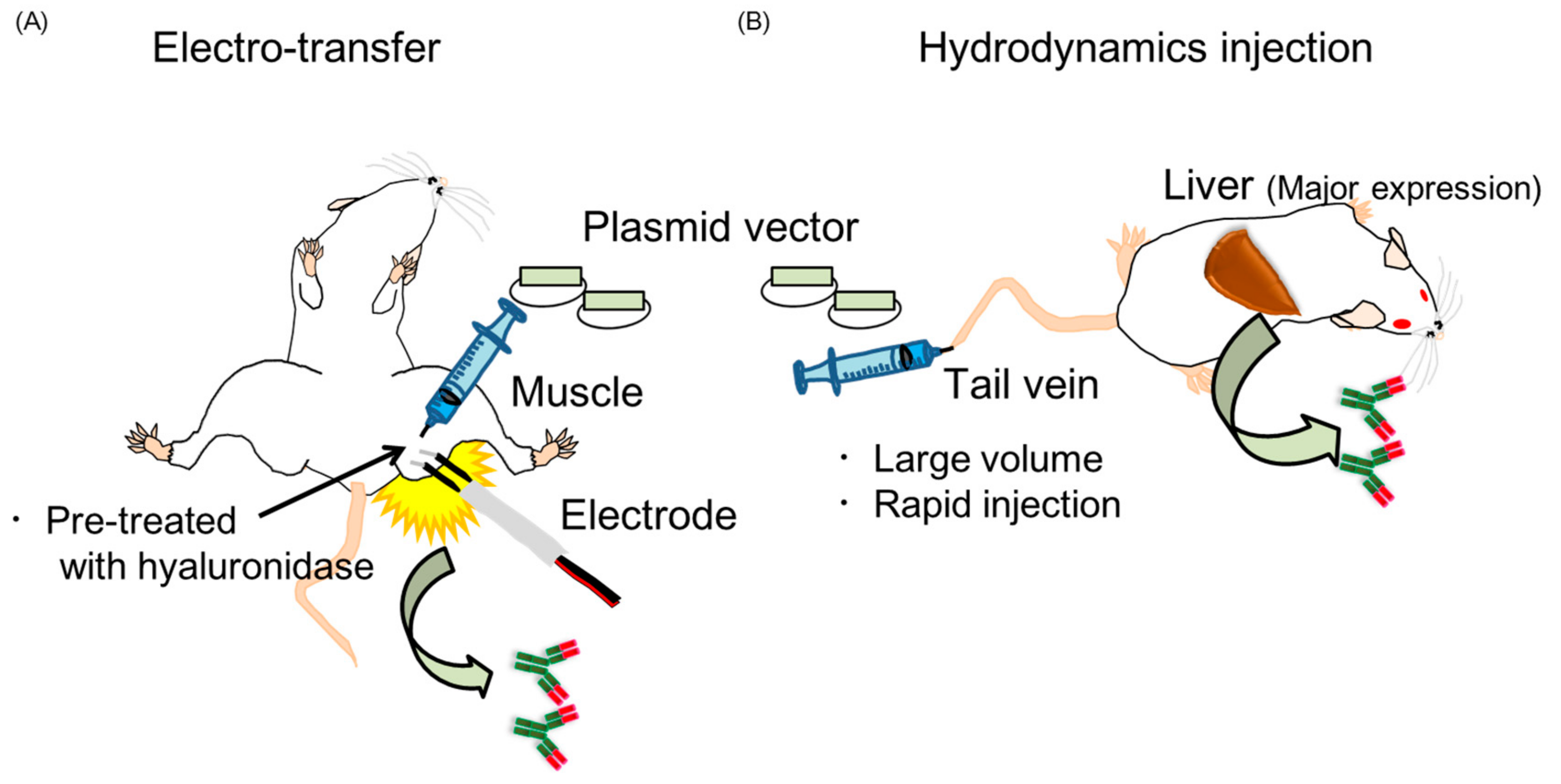 Vaccines 06 00035 g002 Vaccines 06 00035 g002