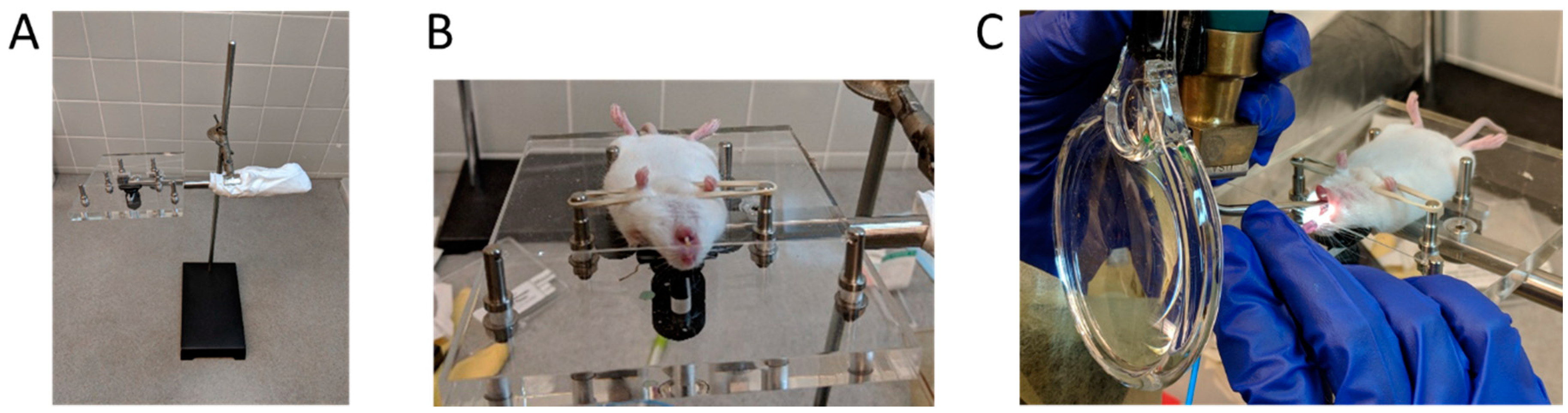 Vaccines 06 00041 g001 Vaccines 06 00041 g001