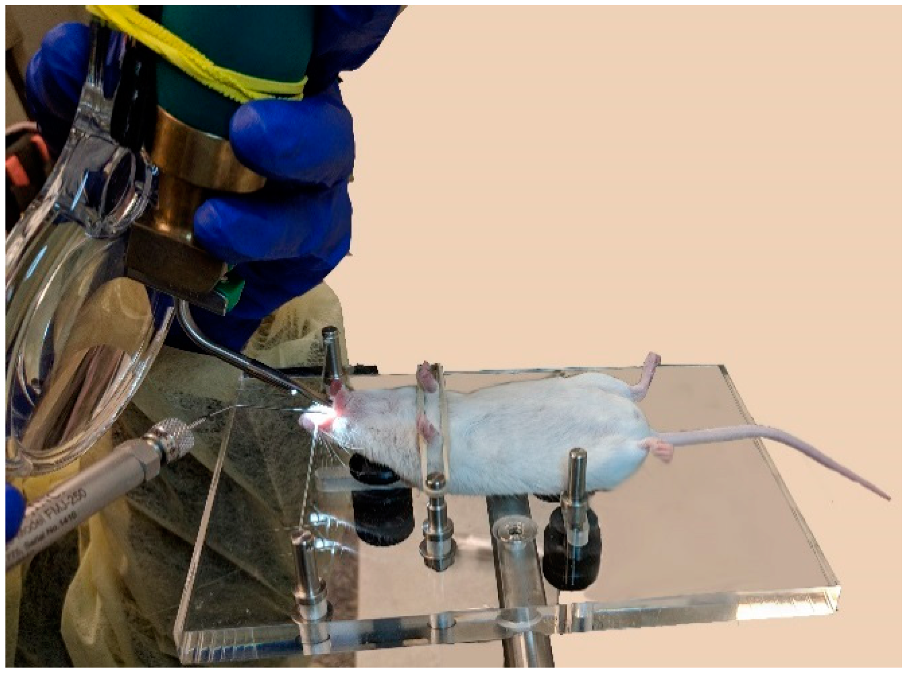 Vaccines 06 00041 g002 Vaccines 06 00041 g002