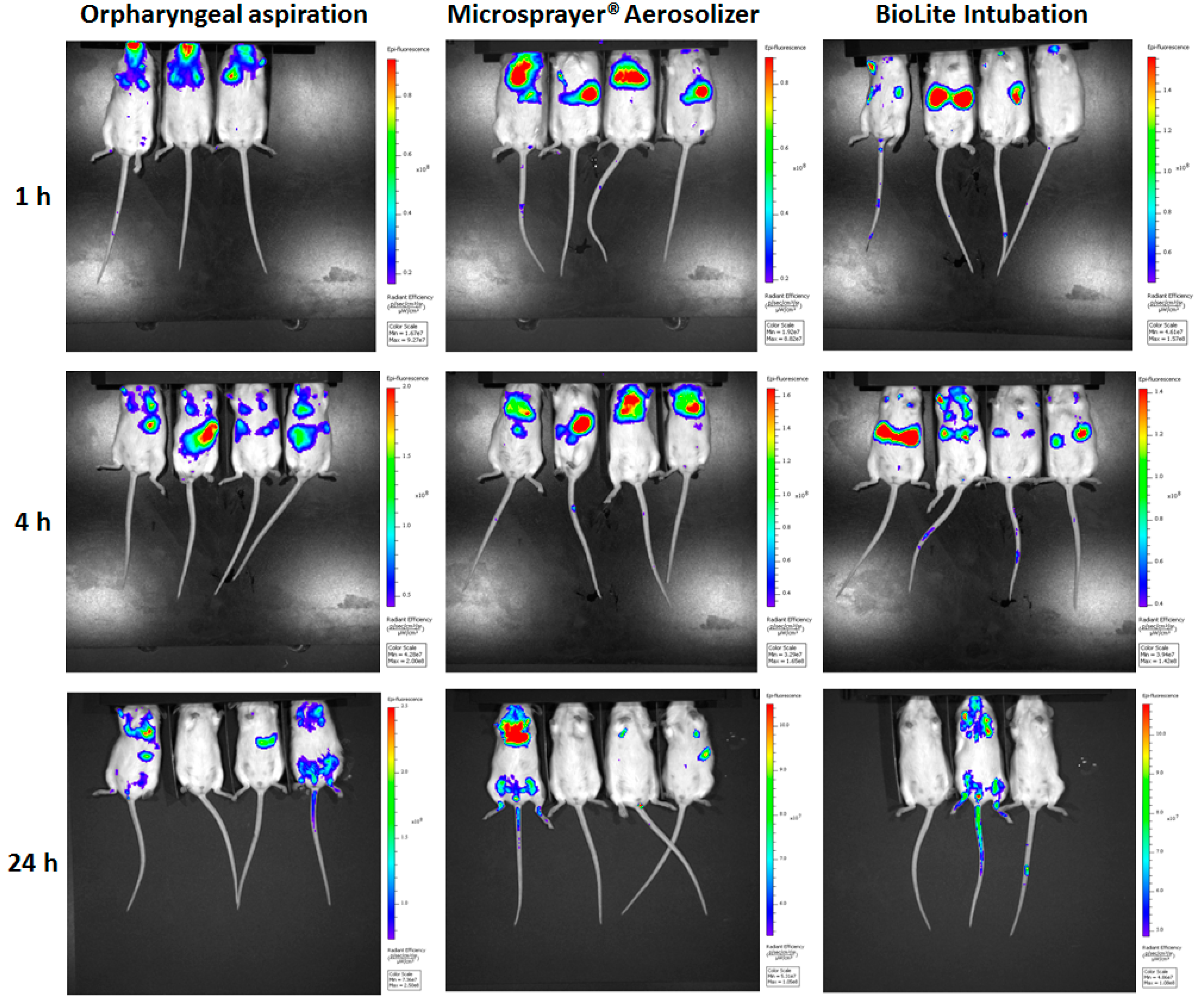 Vaccines 06 00041 g005 Vaccines 06 00041 g005