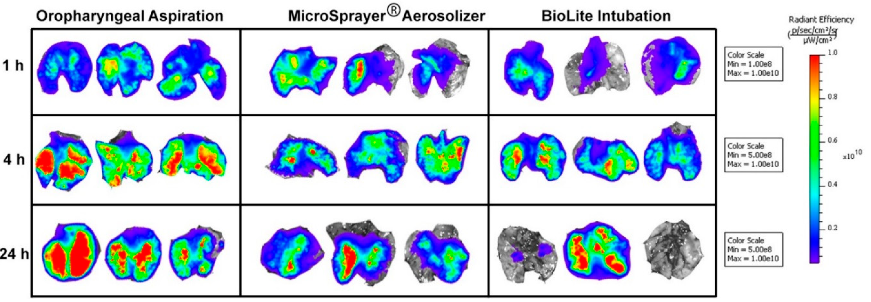 Vaccines 06 00041 g007 Vaccines 06 00041 g007