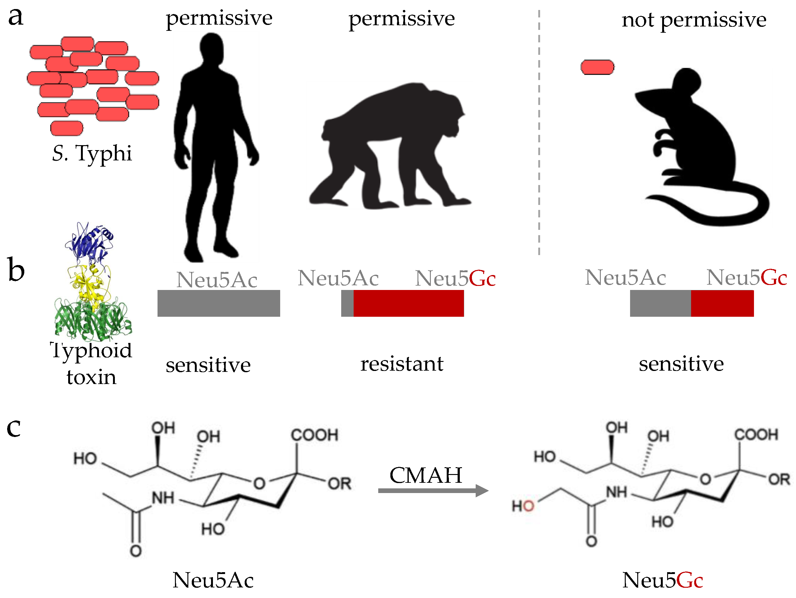 Vaccines 06 00045 g002