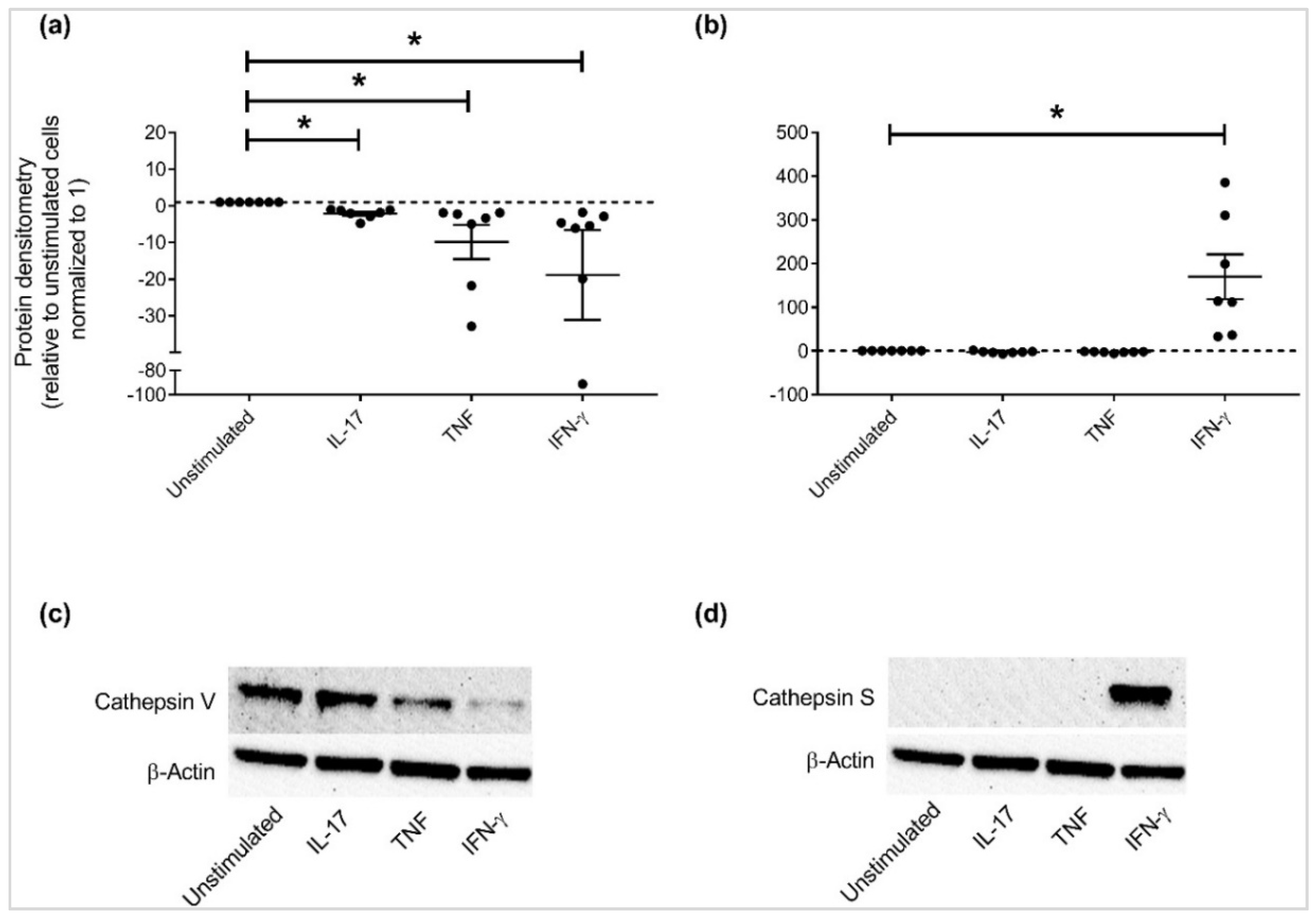 Vaccines 06 00051 g005