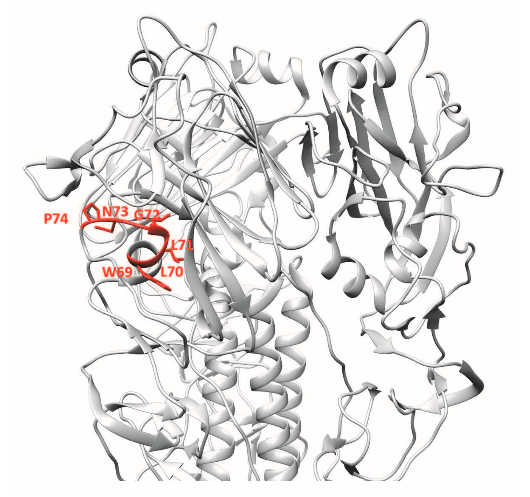 Vaccines 06 00053 g004 Vaccines 06 00053 g004