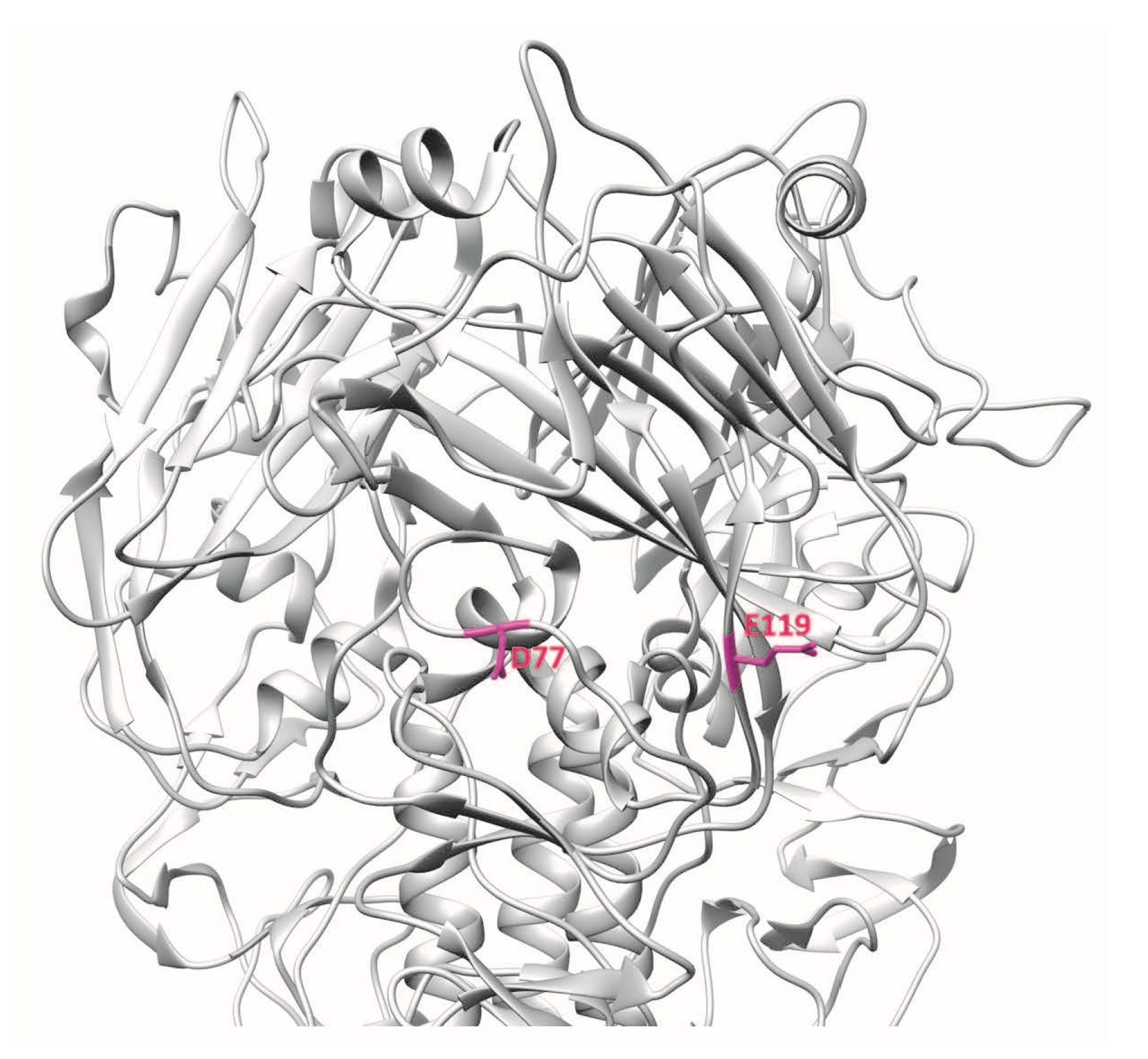 Vaccines 06 00053 g005 Vaccines 06 00053 g005