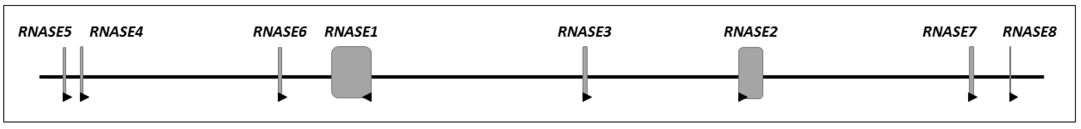 Vaccines 06 00076 g001