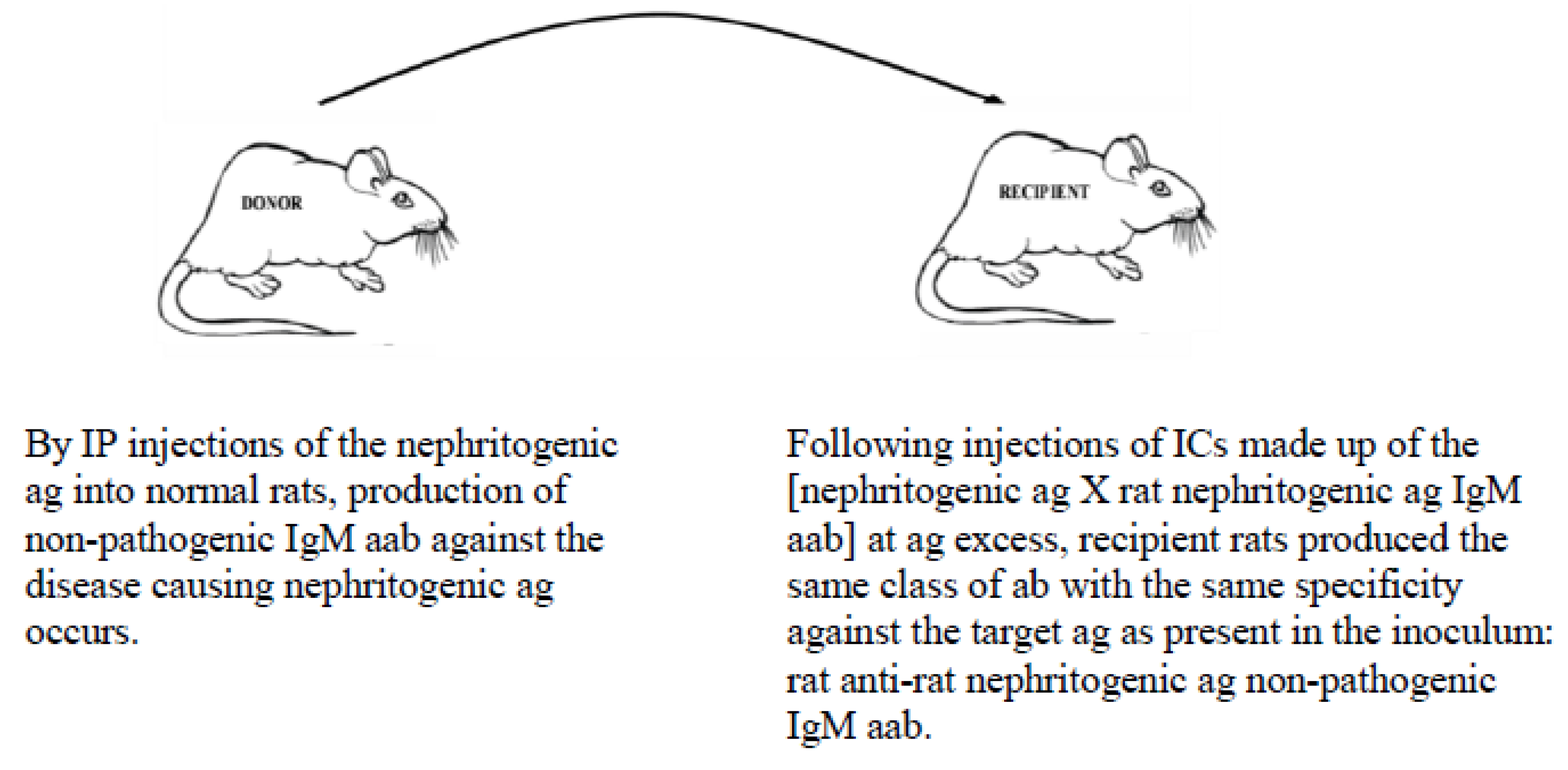 Vaccines 07 00001 g002