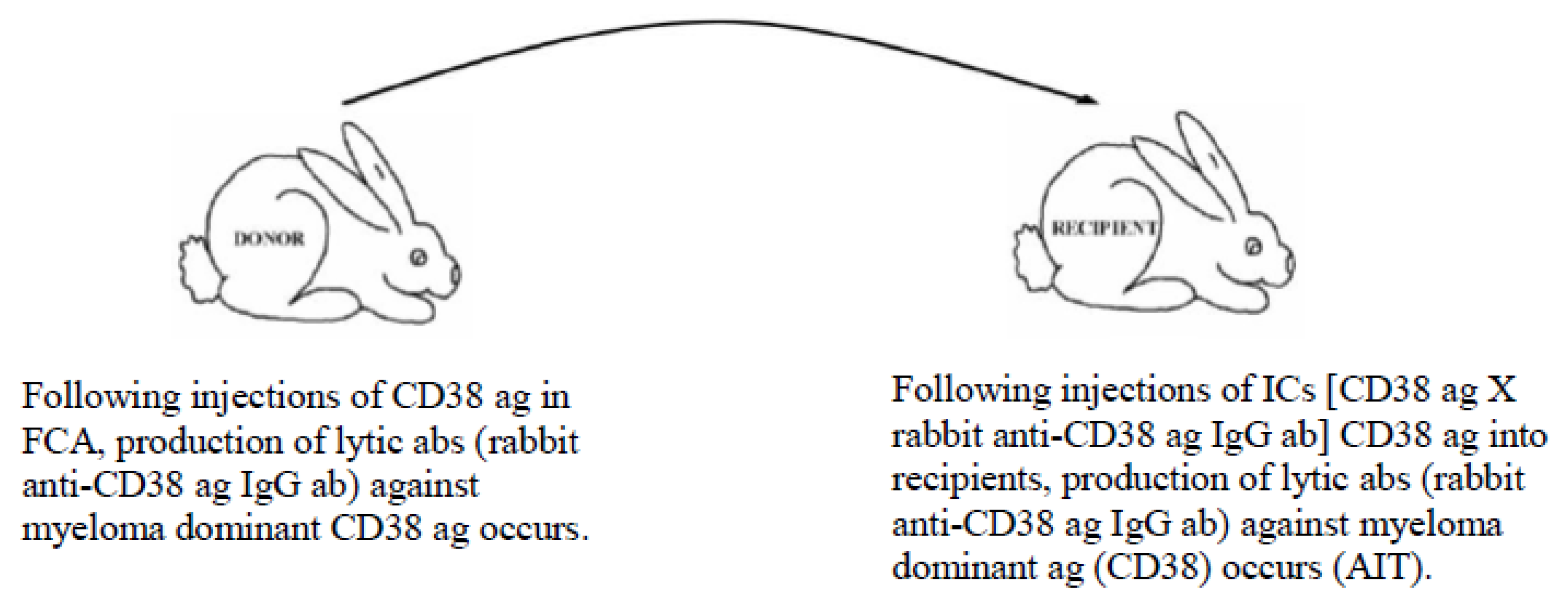 Vaccines 07 00001 g003