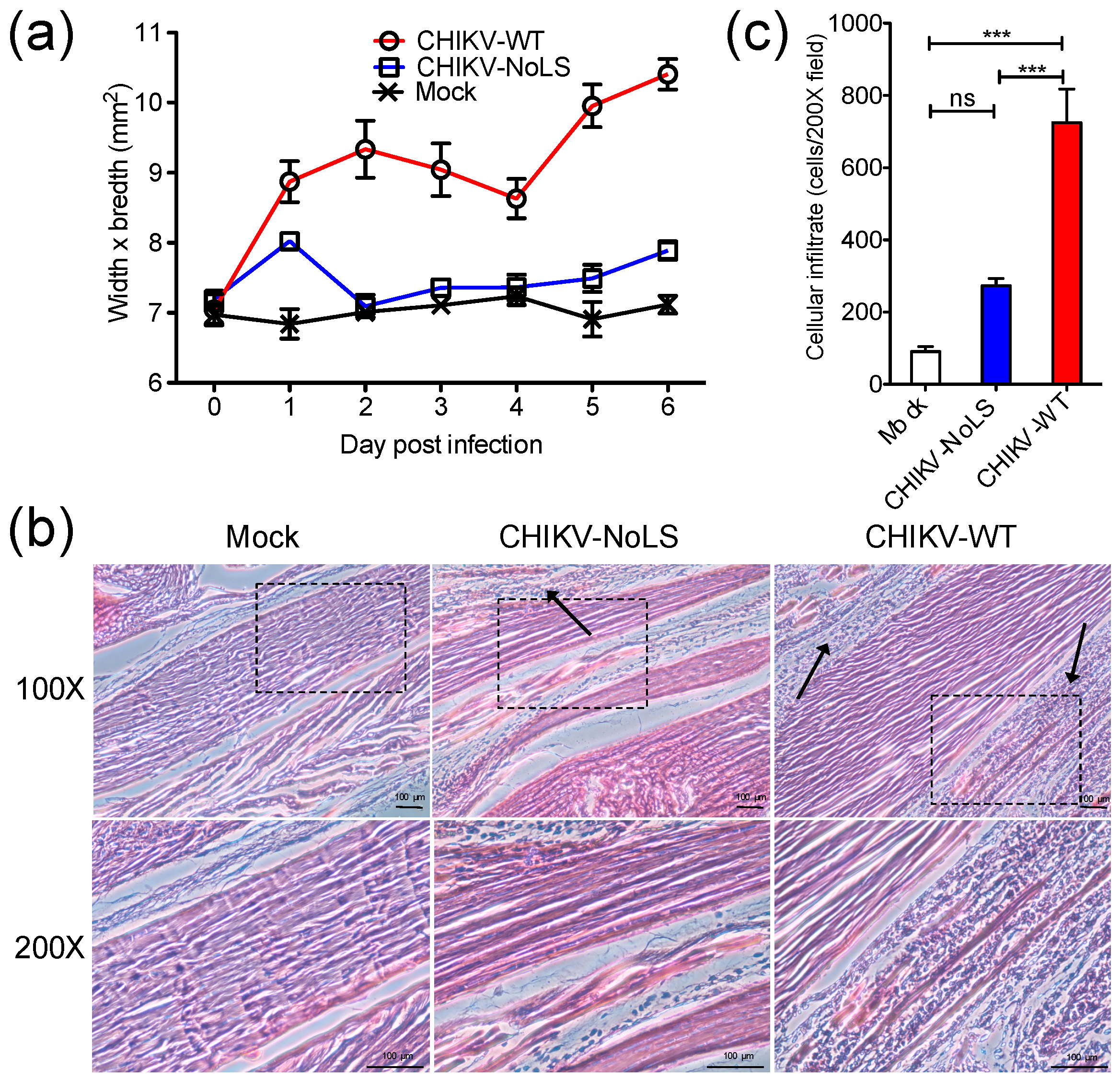 Vaccines 07 00002 g001