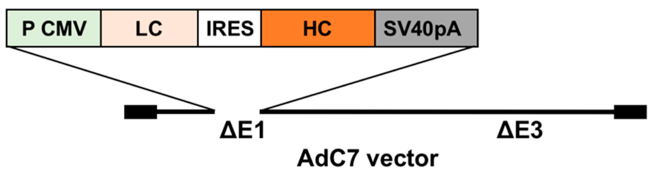 Vaccines 07 00003 g001 Vaccines 07 00003 g001