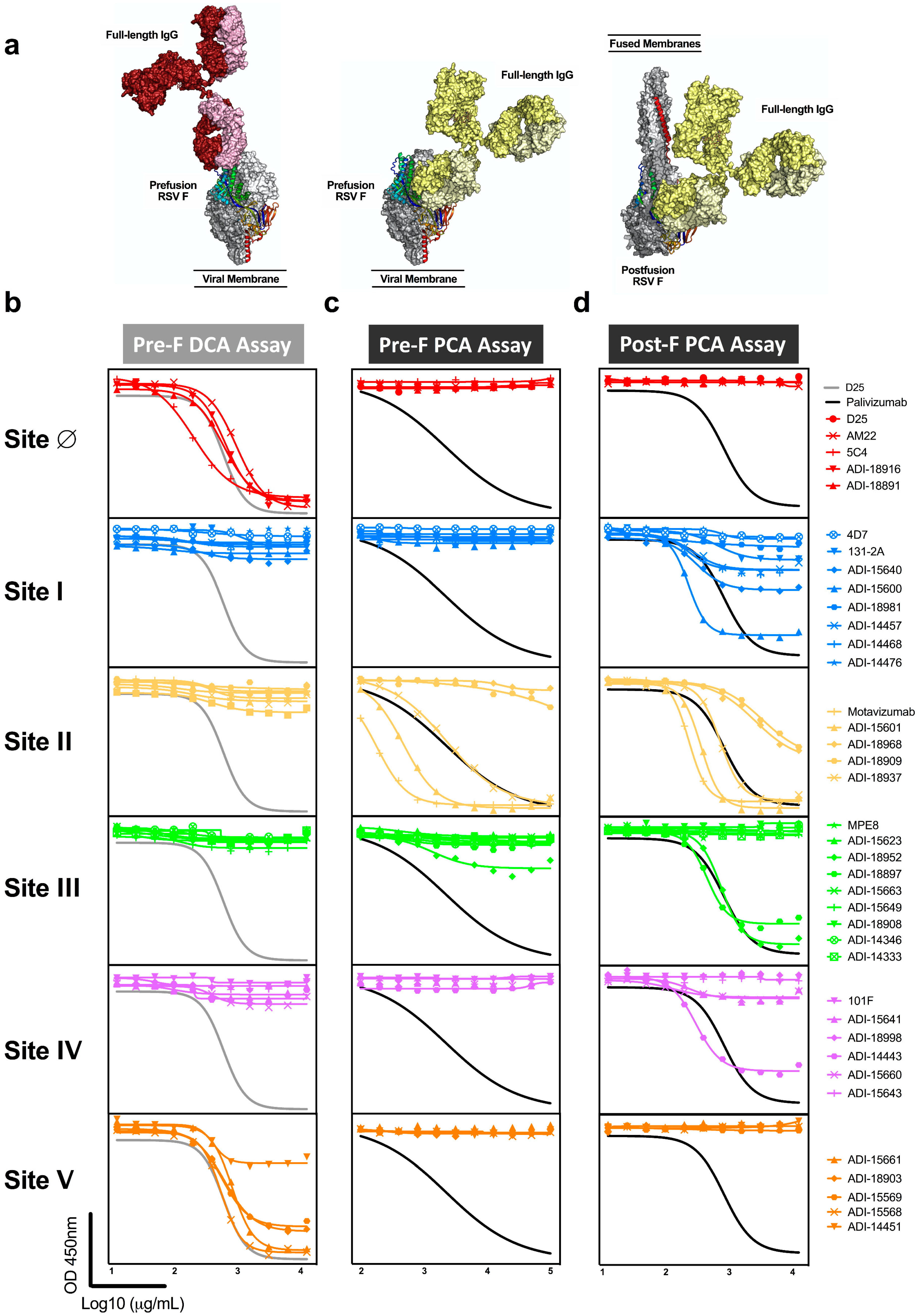 Vaccines 07 00023 g003 Vaccines 07 00023 g003