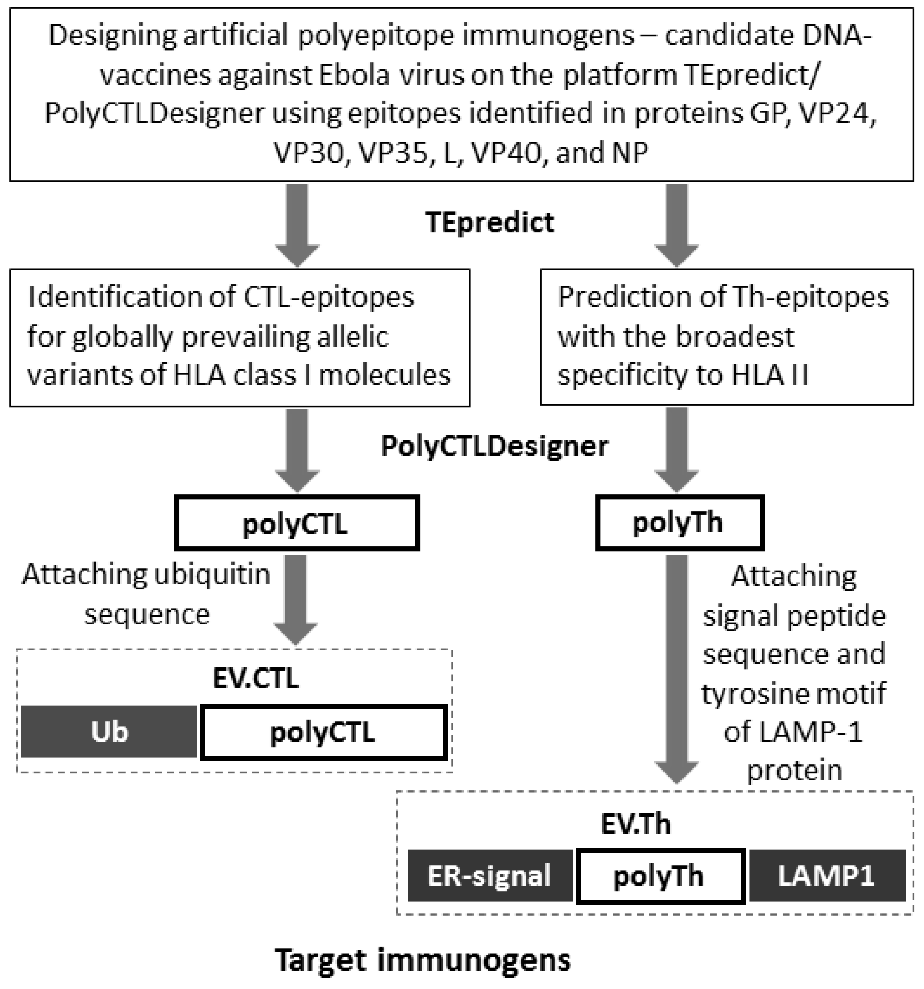 Vaccines 07 00034 g001 550