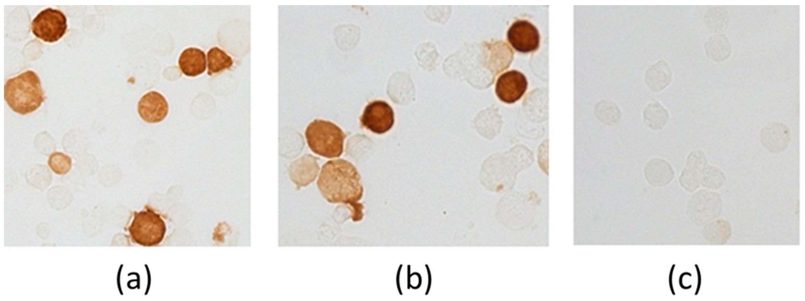 Vaccines 07 00034 g003 550