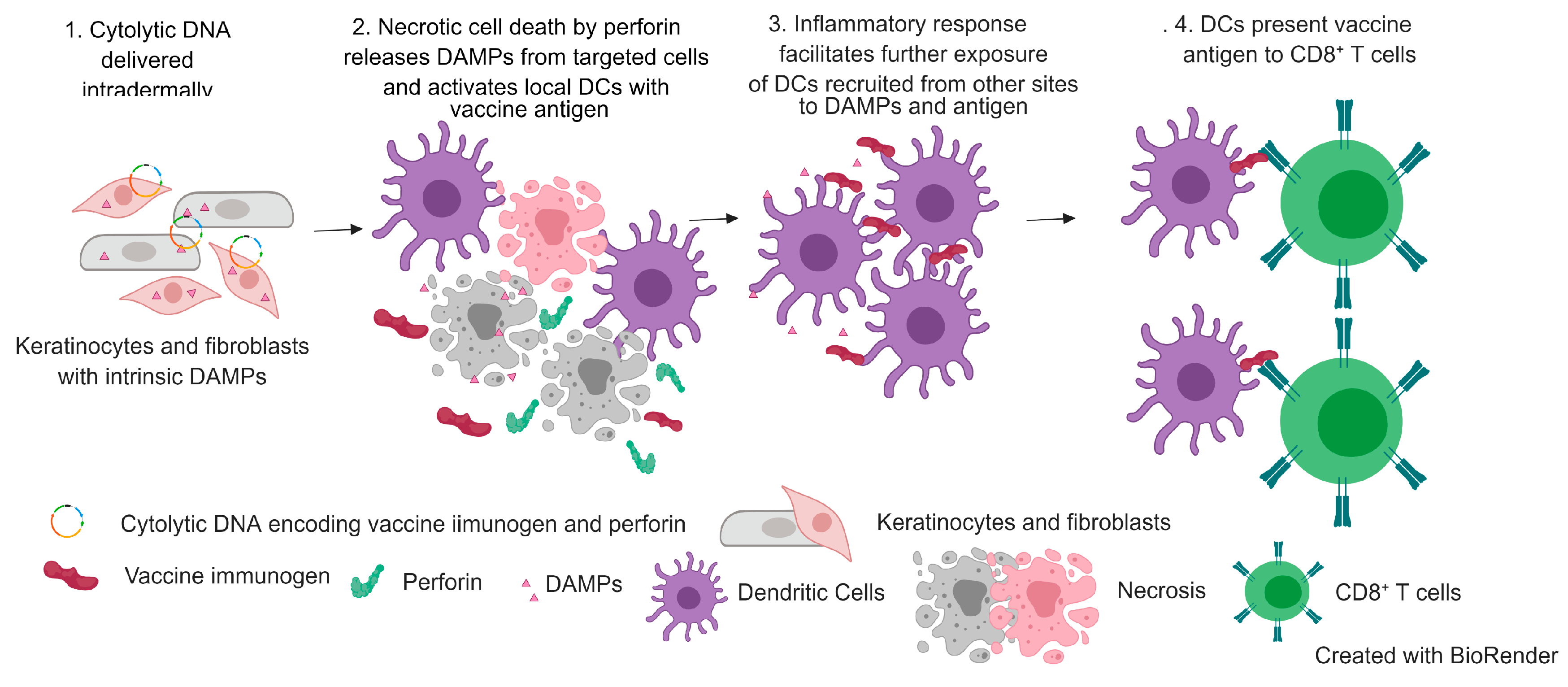 Vaccines 07 00038 g002 Vaccines 07 00038 g002