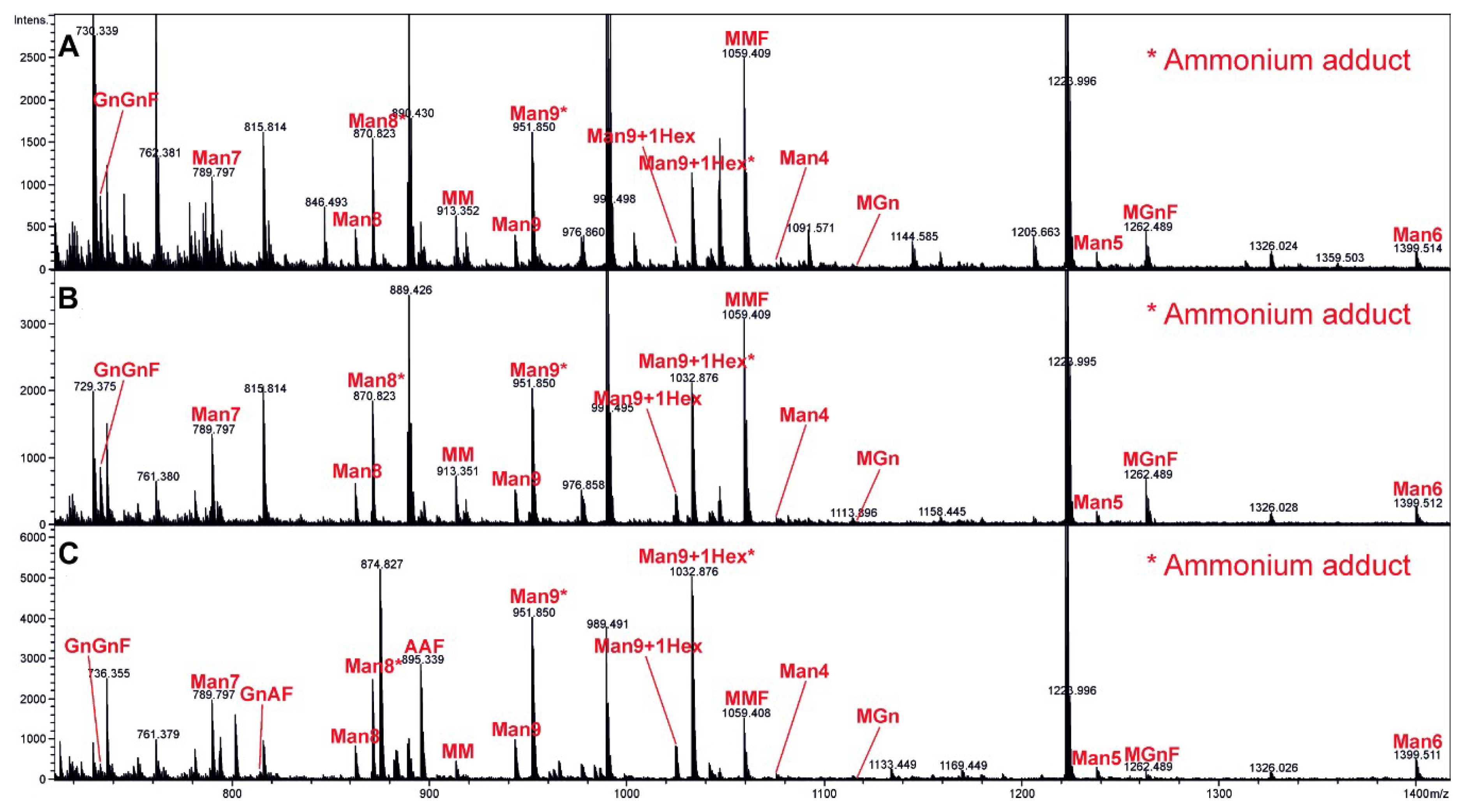 Vaccines 07 00041 g002 550