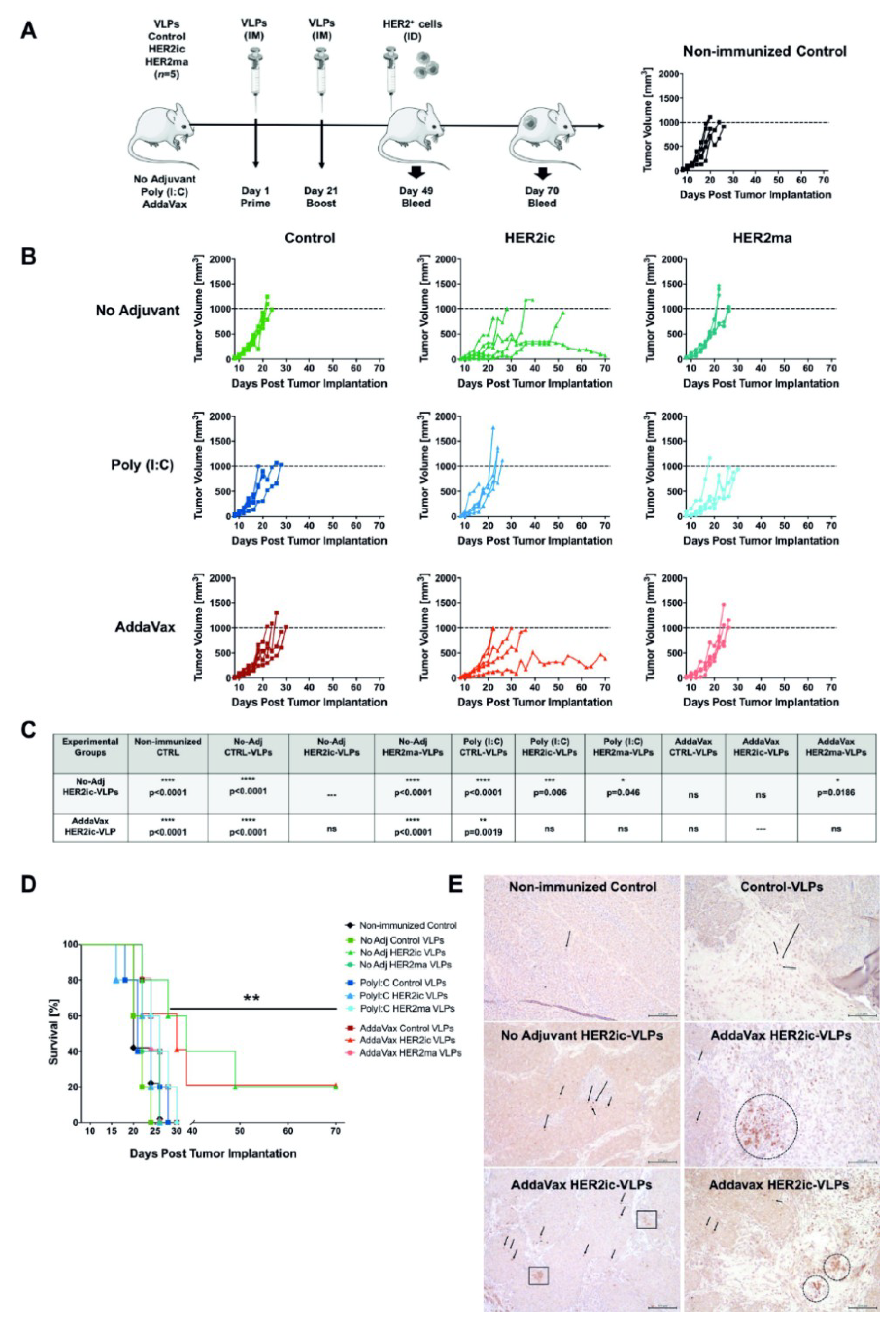 Vaccines 07 00041 g003 550