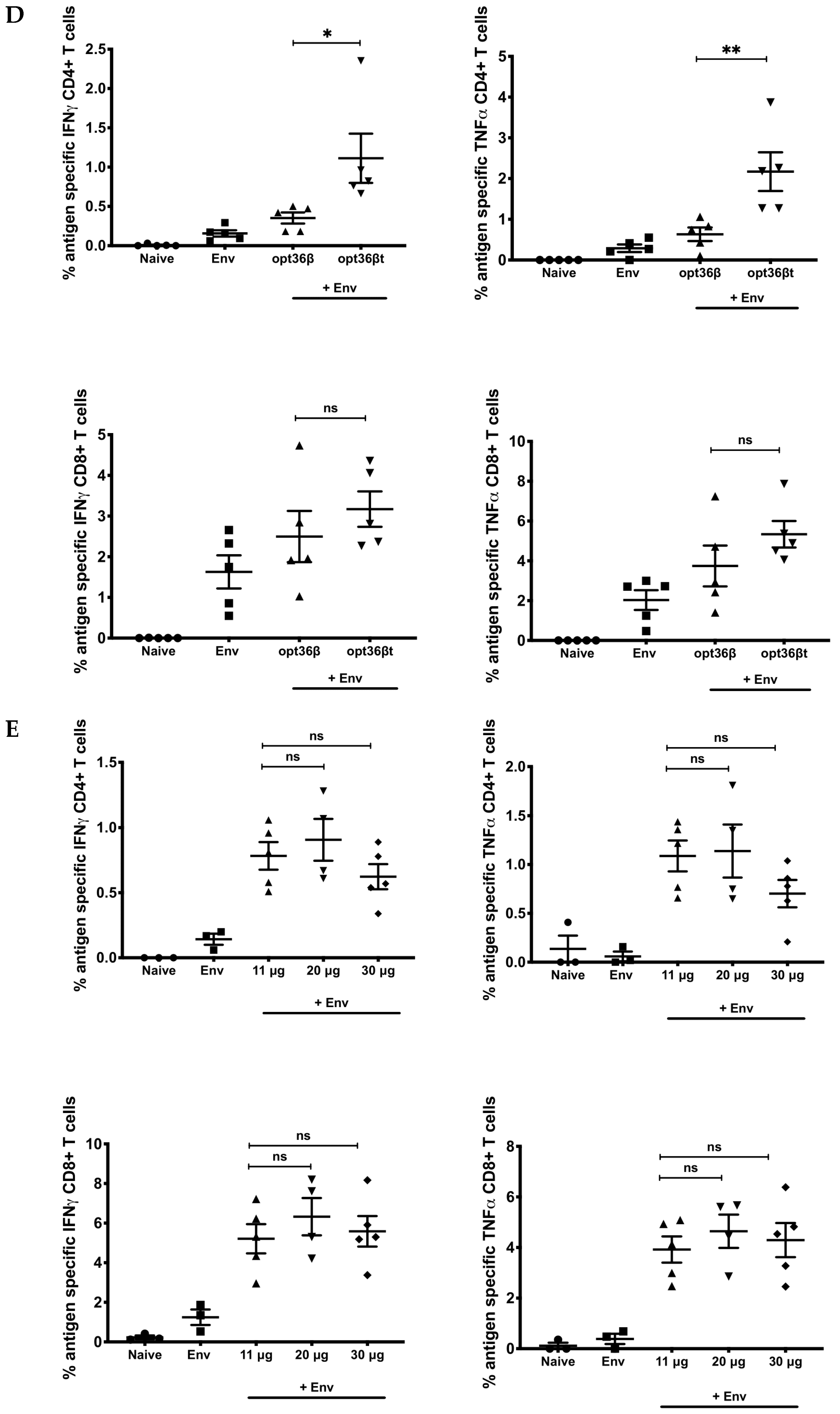 Vaccines 07 00042 g001b Vaccines 07 00042 g001b