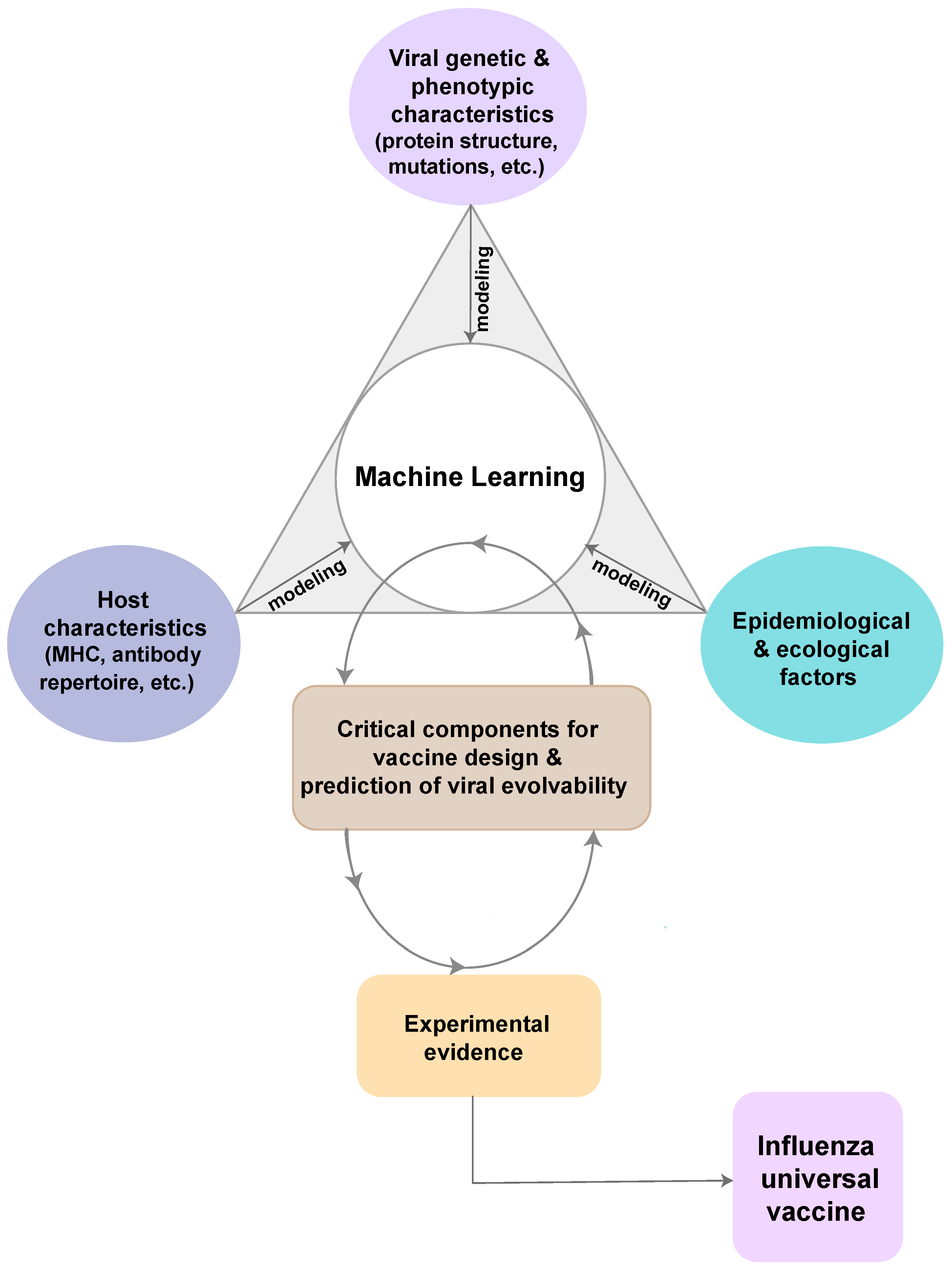 Computational Approaches and Challenges to Developing Universal 