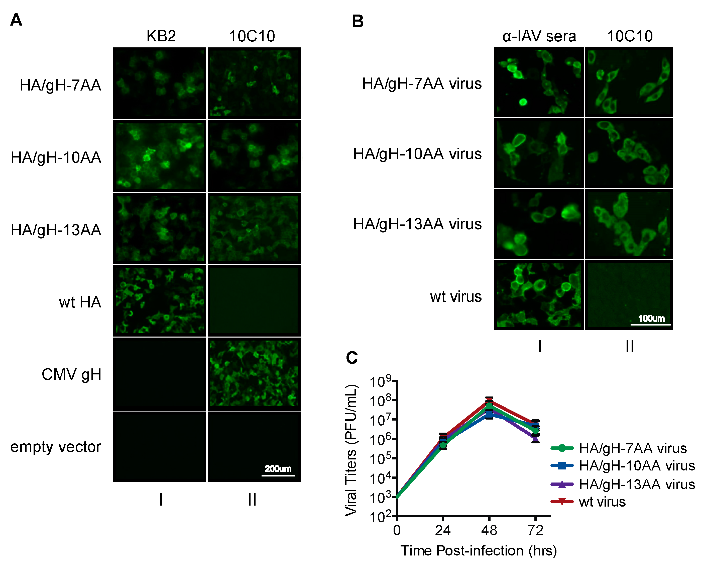 Vaccines 07 00051 g002 Vaccines 07 00051 g002