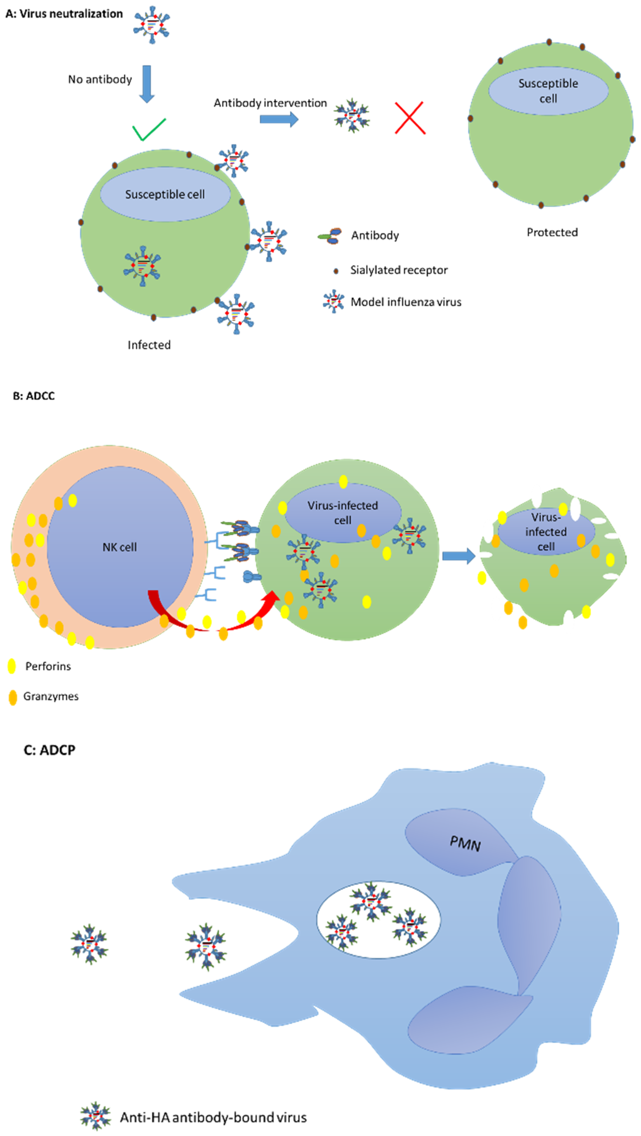 Vaccines Free Full Text Current And Novel Approaches In Influenza Management Html