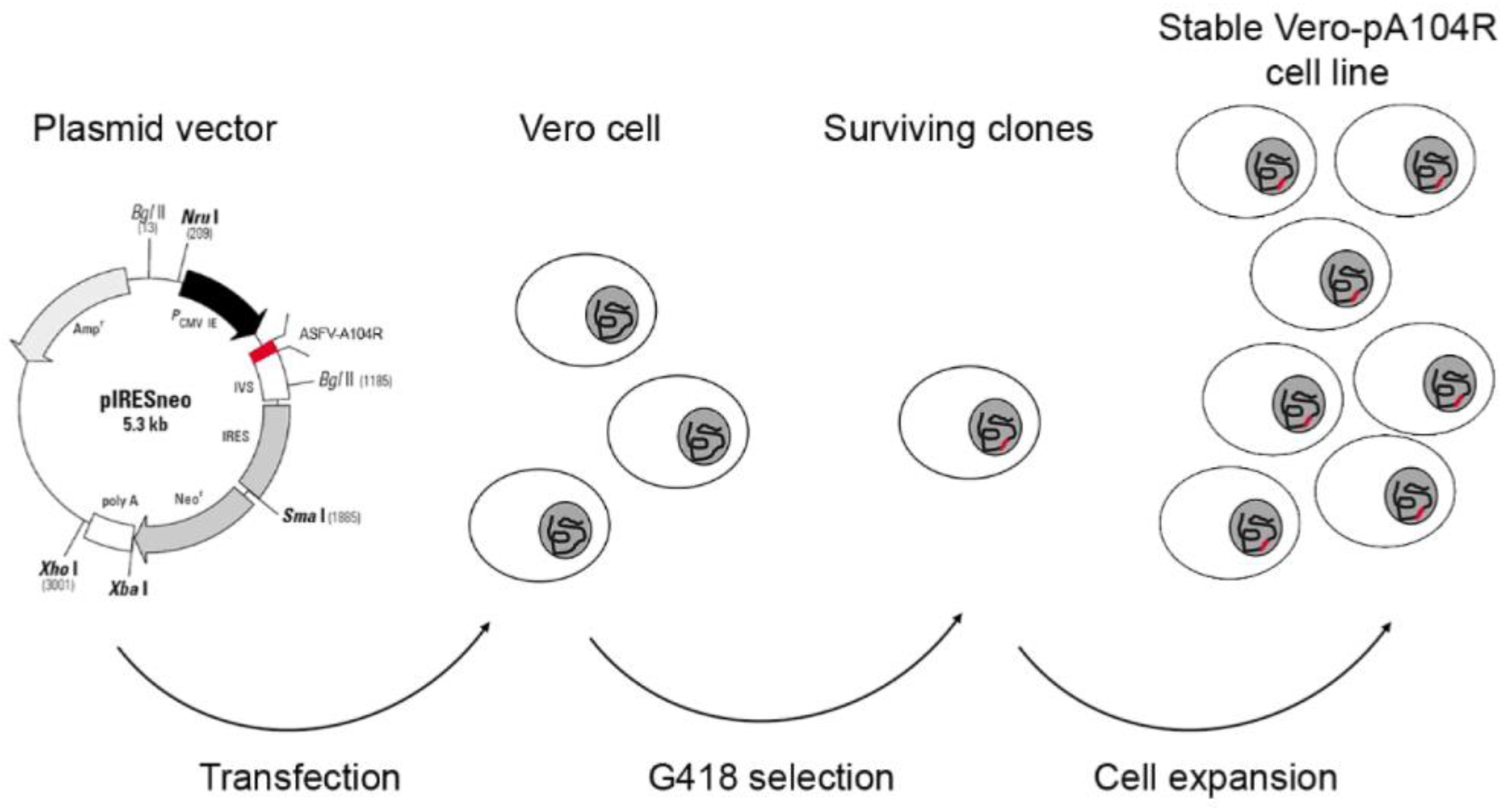 Vaccines 07 00068 g001